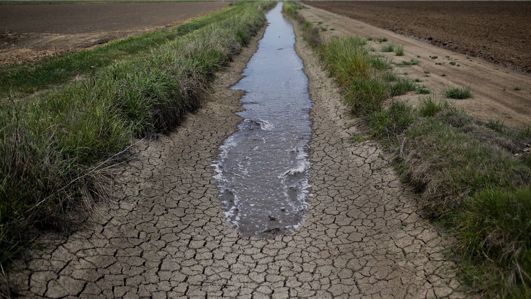 May 1, 2014: irrigation water runs along the dried-up ditch between the rice farms to provide water for the rice fields in Richvale, Calif.