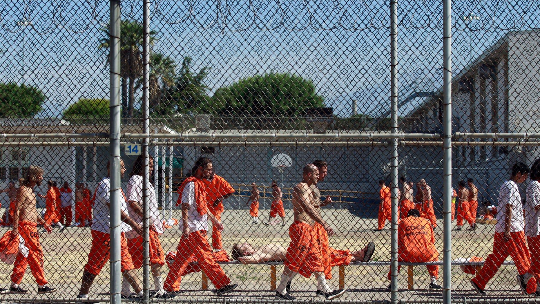June 3, 2011: Inmates walk around an exercise yard at the California Institution for Men state prison in Chino, California.