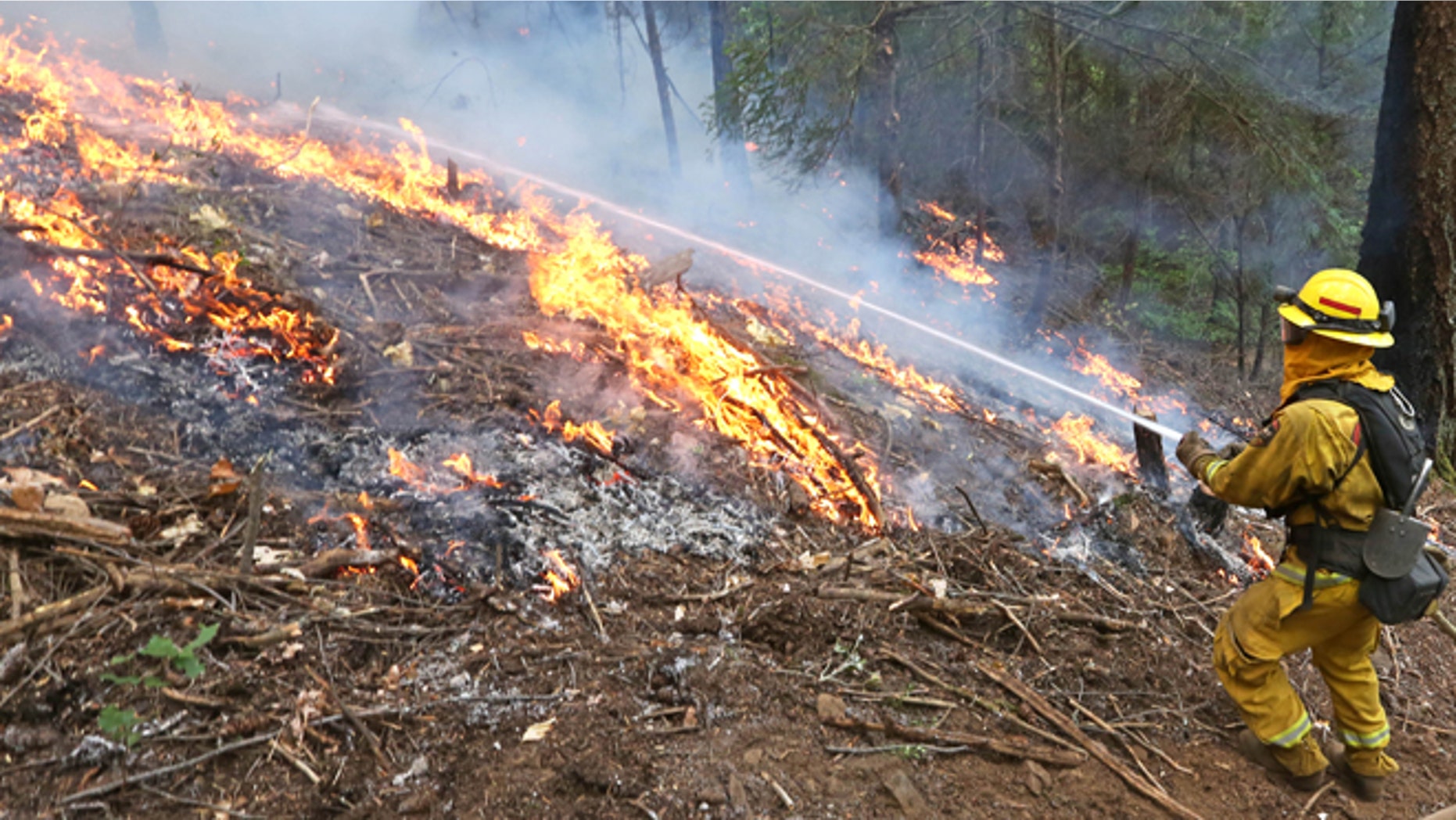 Sept. 18, 2014: A firefighter puts water flames approaching a containment line, while fighting the King fire near Fresh Pond, Calif. Authorities arrested Wayne Allen Huntsman, 37, Wednesday and have charged him with deliberately starting the Northern California wildfire that has burned more than 70,000 acres and is only 5 percent contained.