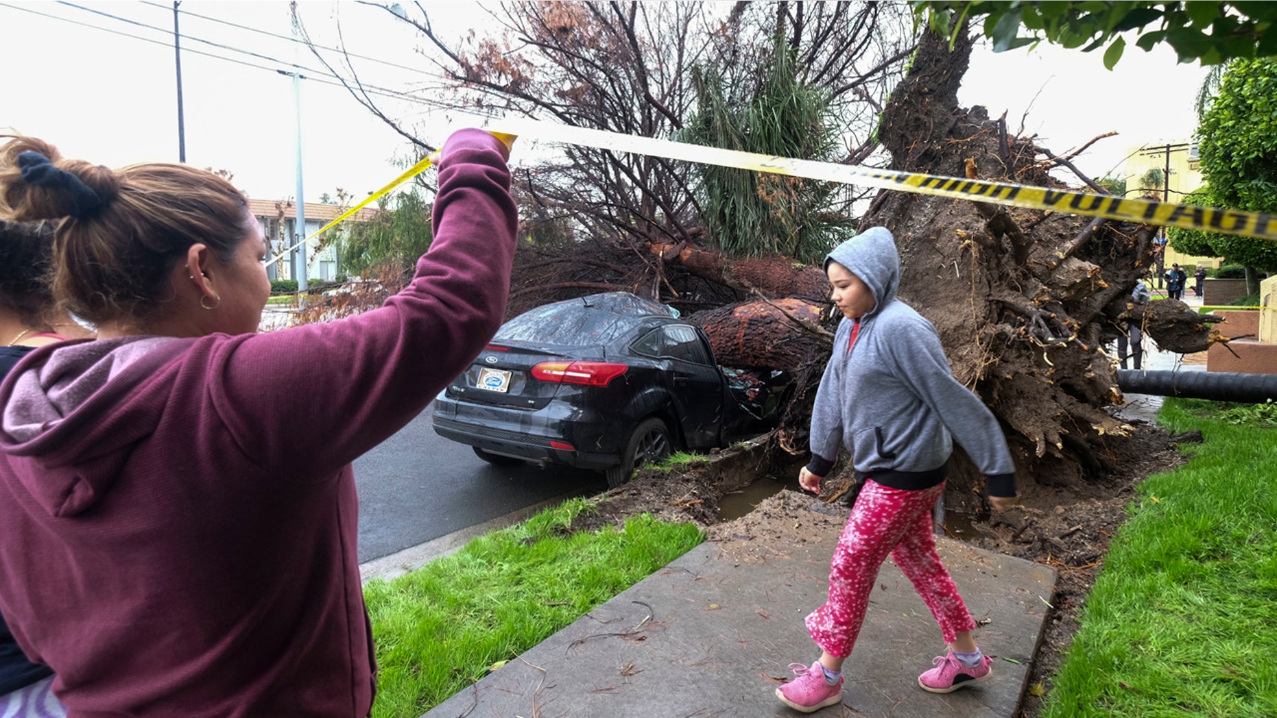 Feb. 18, 2017: Neighbors walk by a fallen tree that crushed a car in the Sherman Oaks section of Los Angeles.