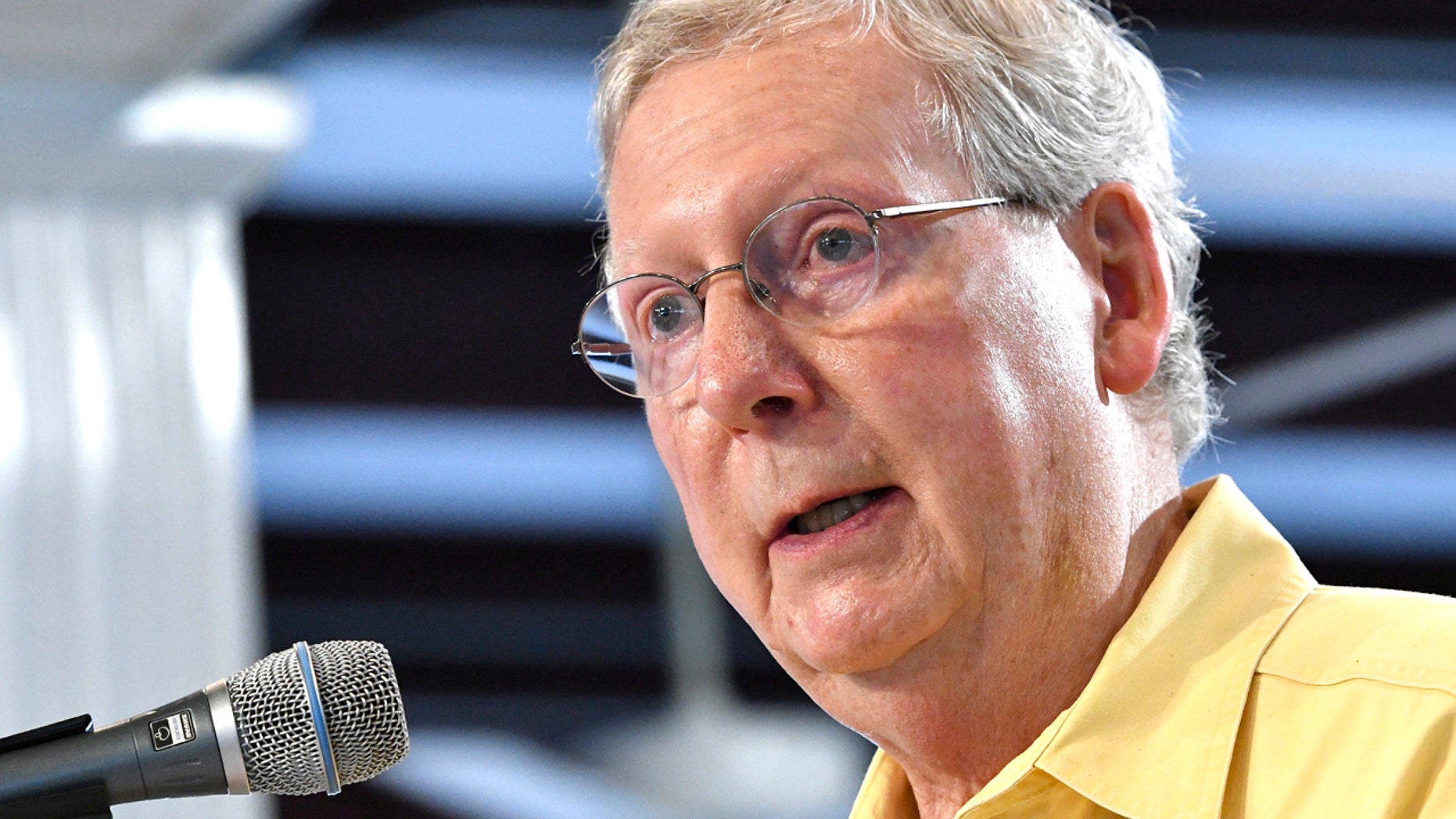 FILE - In this Aug. 6, 2016, file photo, Majority Leader Mitch McConnell of Kentucky, addresses the crowd gathered at the Fancy Farm Picnic in Fancy Farm Ky.