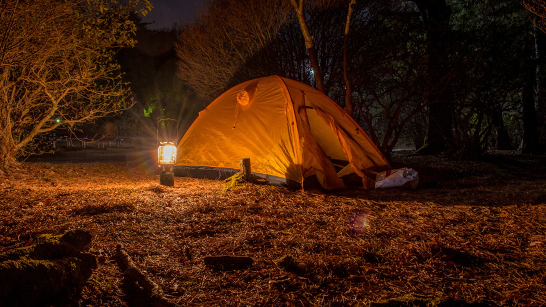 A couple's camping retreat quickly turned into a nightmare.