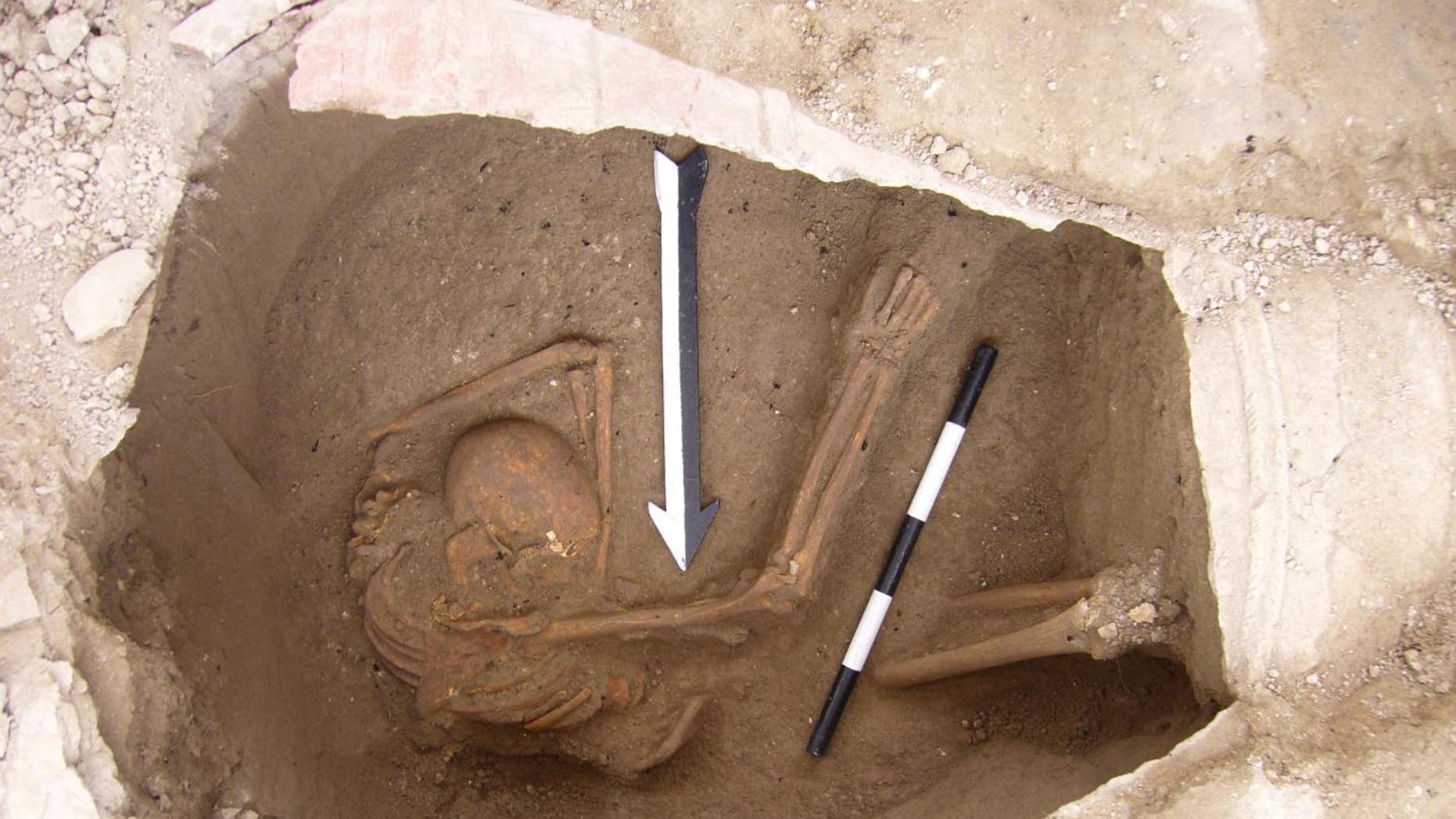 A large jar burial containing the remains of one of the individuals sequenced in the study (Dr. Claude Doumet-Serhal - The Sidon excavation).
