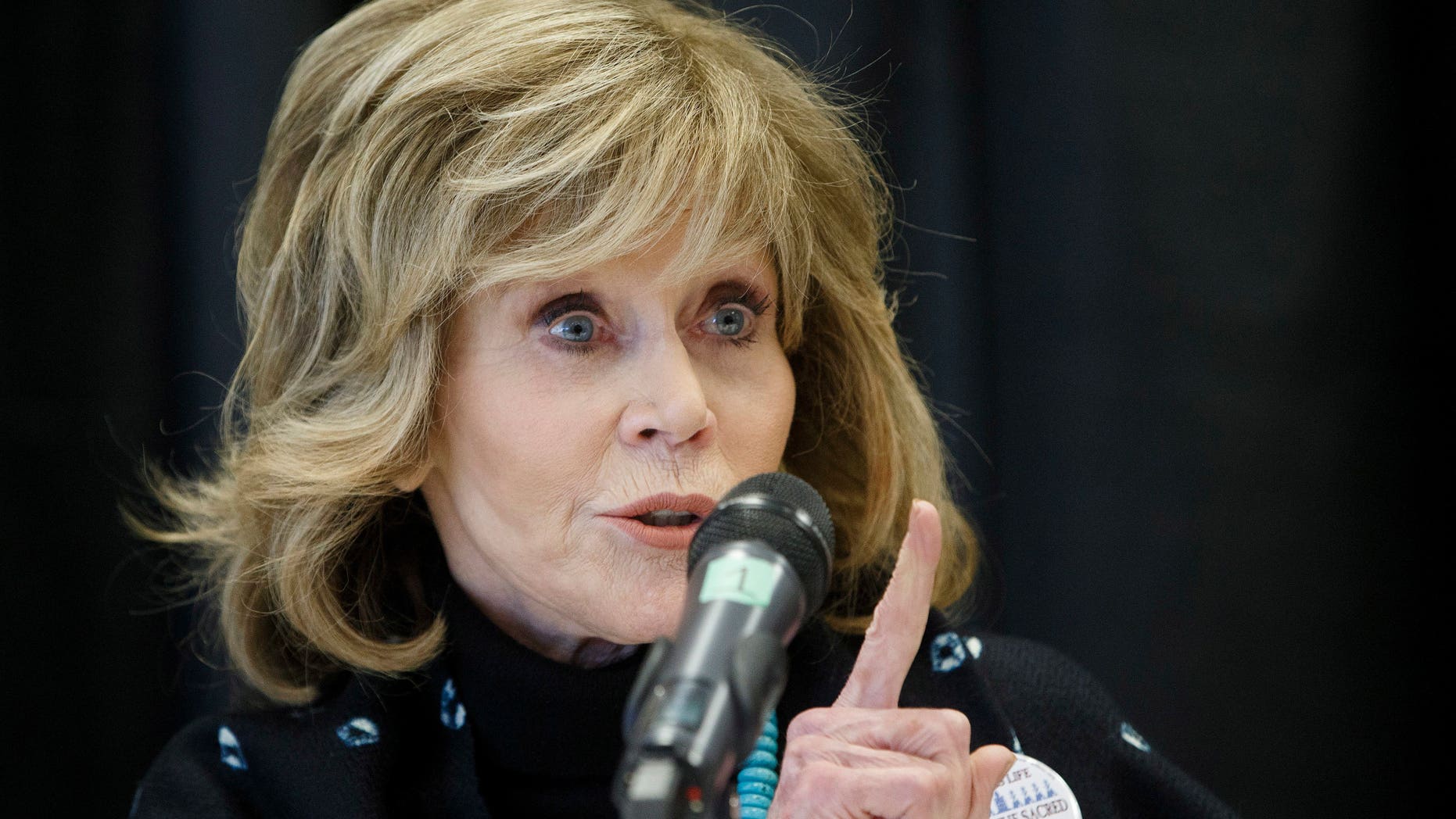 Actress Jane Fonda speaks at a press conference for indigenous rights, in Edmonton Alta, on Wednesday, Jan. 11, 2017. (Jason Franson/The Canadian Press via AP)
