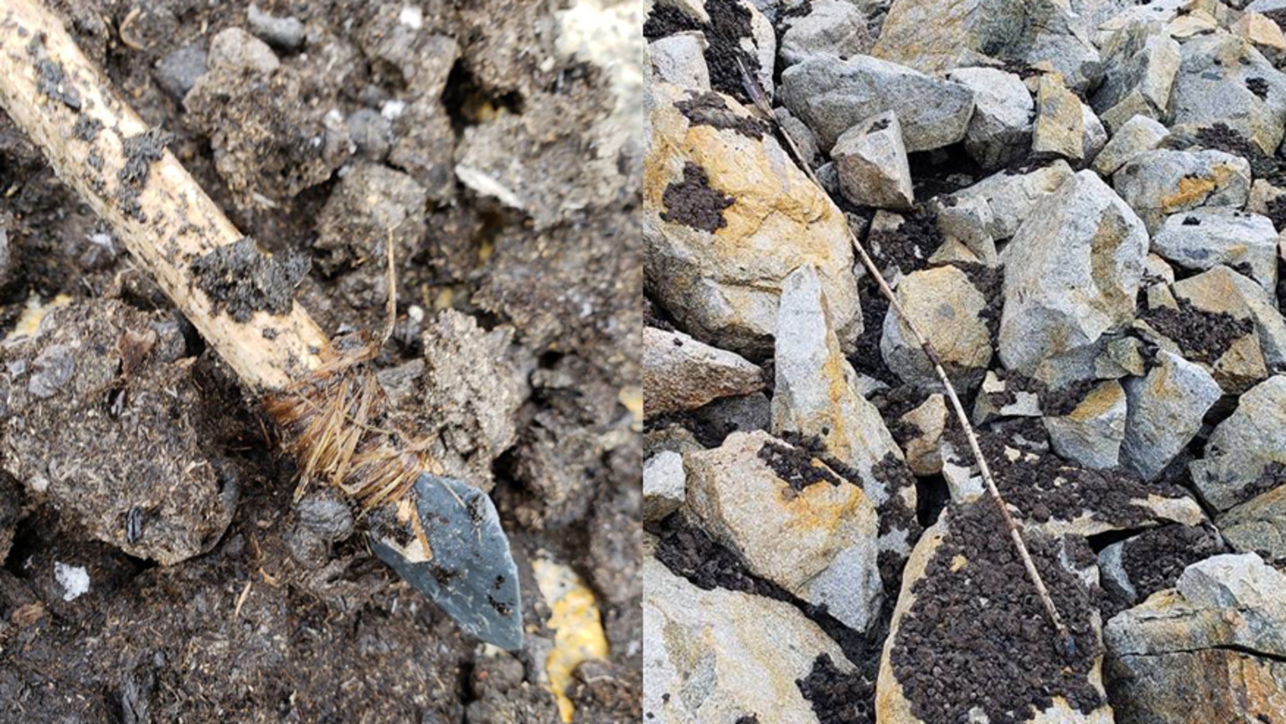 The spear dart is believed to be about 1,000 years old (Carcross/Tagish First Nation)
