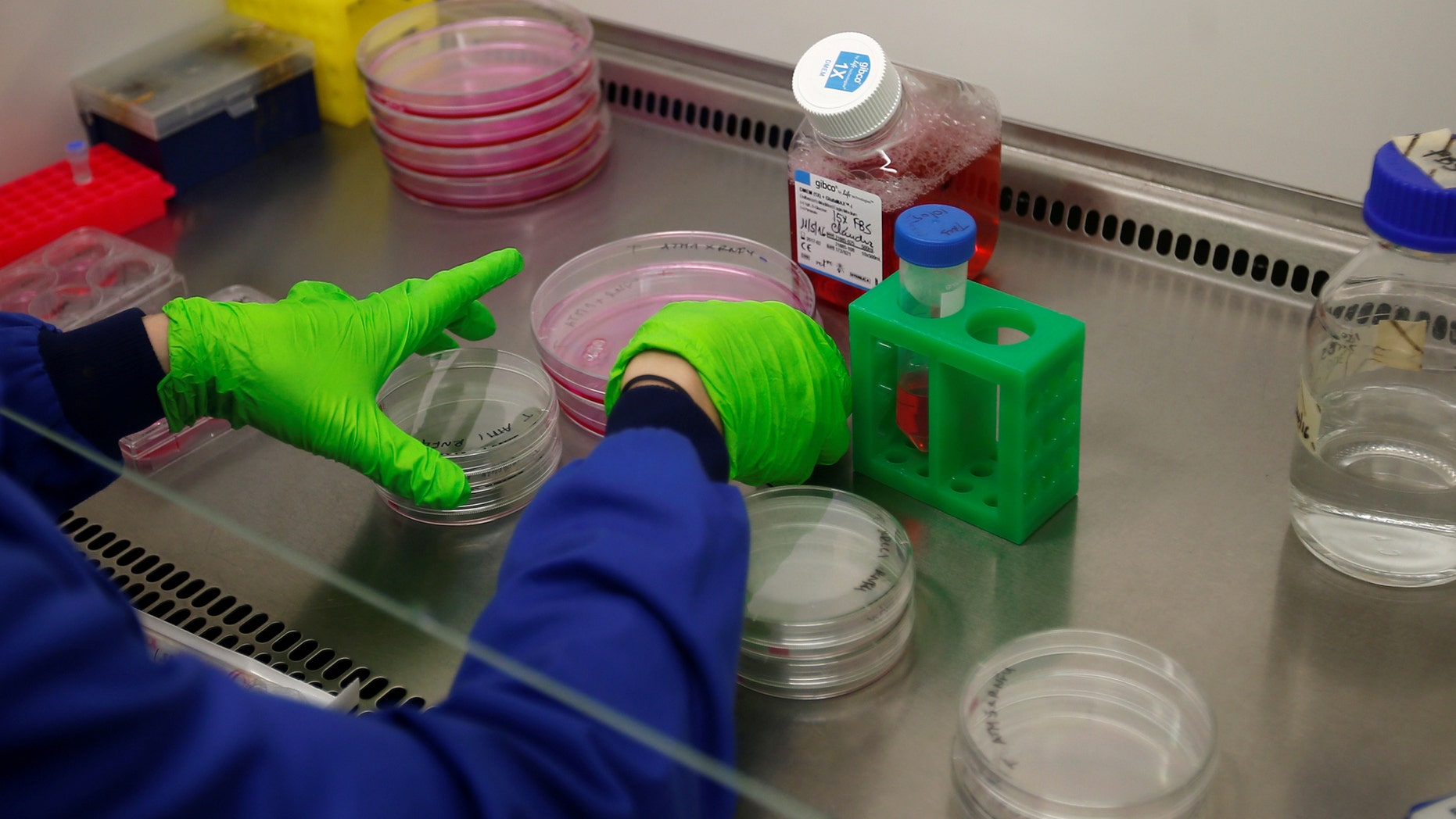 File photo: Preparations of media for cultivating cancer cells, being made in cancer research laboratories at the Old Road Campus research building at Oxford University, in Oxford, Britain May 11, 2016. (REUTERS/Peter Nicholls)