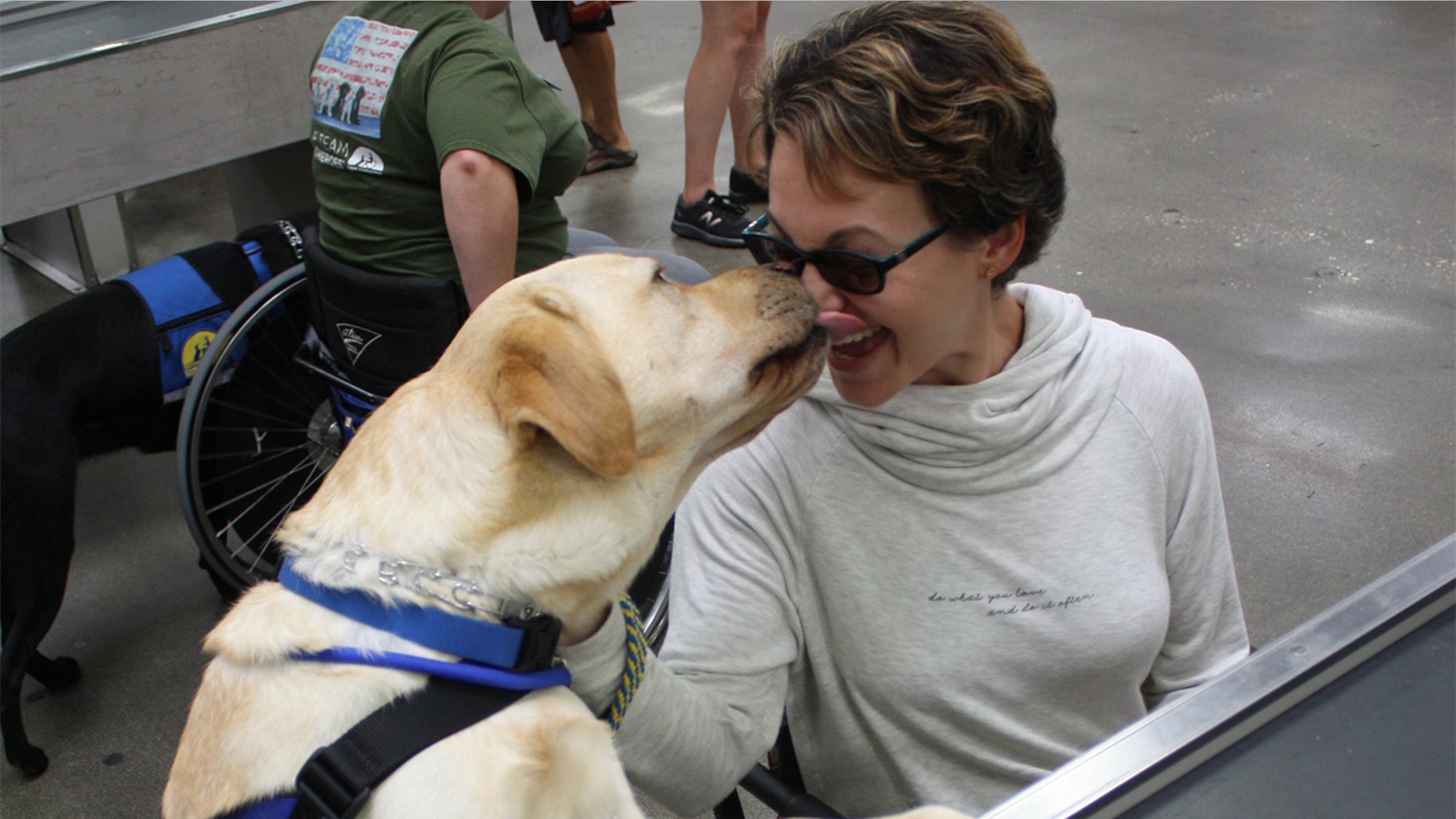 A few simple guidelines for properly interacting with, and respecting, handlers and their service dogs.