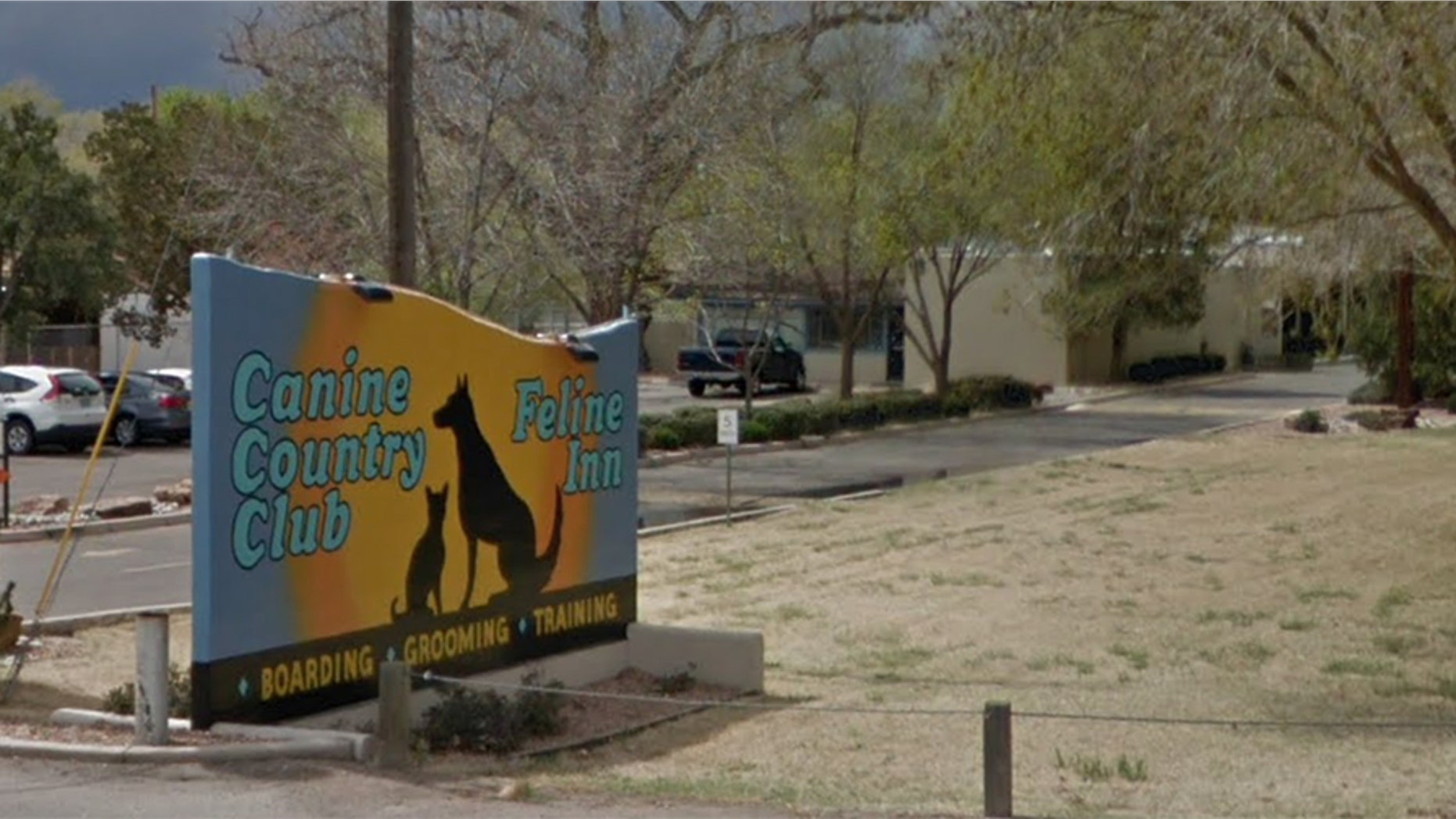 An animal volunteer in Arizona was allegedly killed during a dog attack at the Canine Country Club & Feline Inn, reports said.