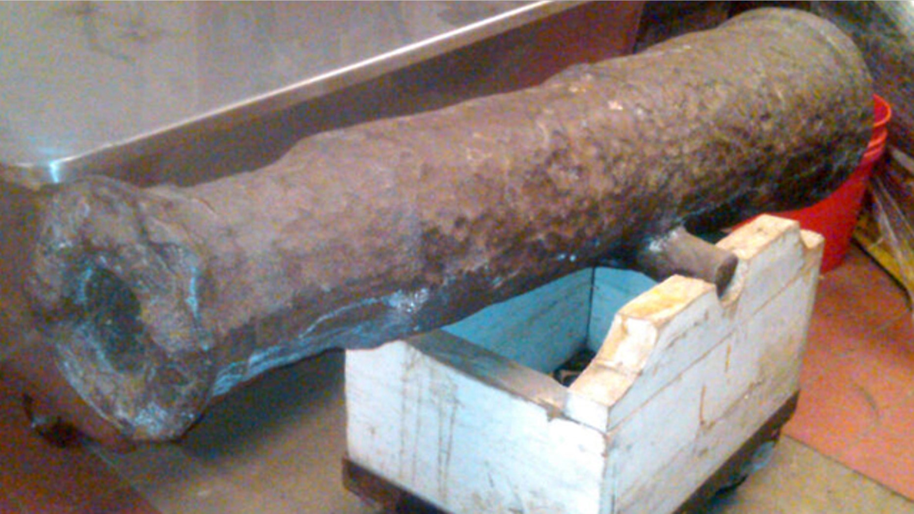 Jan 11, 2013: This photo provided by the New York City Police Department shows an 18th century cannon belonging to the Central Park Conservancy in New York.