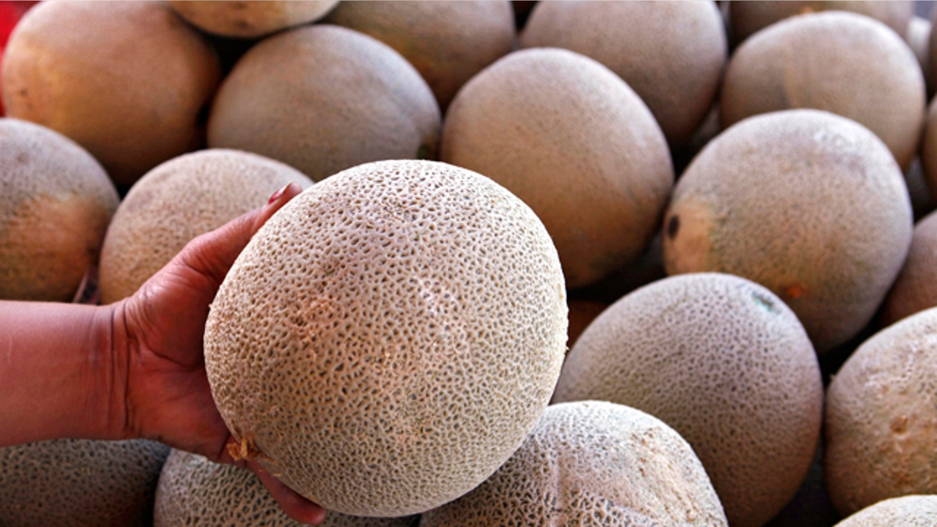 An operator of a fruit and vegetable stand near Denver holds a California-grown cantaloupe for sale at her business on Friday, Sept. 16, 2011. Federal and state officials have isolated a deadly outbreak of listeria to one cantaloupe farm near Holly, Colo. They have ordered a recall of 300,000 cases of melons grown on the Jensen Farms. Only California-grown cantaloupe could be found in Denver markets. (AP Photo/Ed Andrieski)
