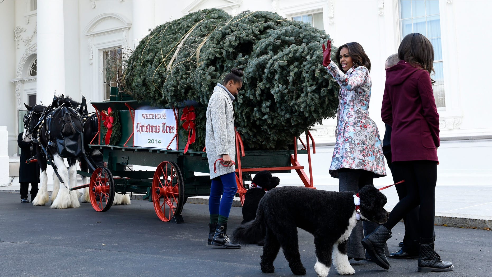 First lady Michelle Obama, second from right, joined by her daughters Sasha Obama, left, and Malia Obama, waves to the press after welcoming the Official White House Christmas Tree to the White House.