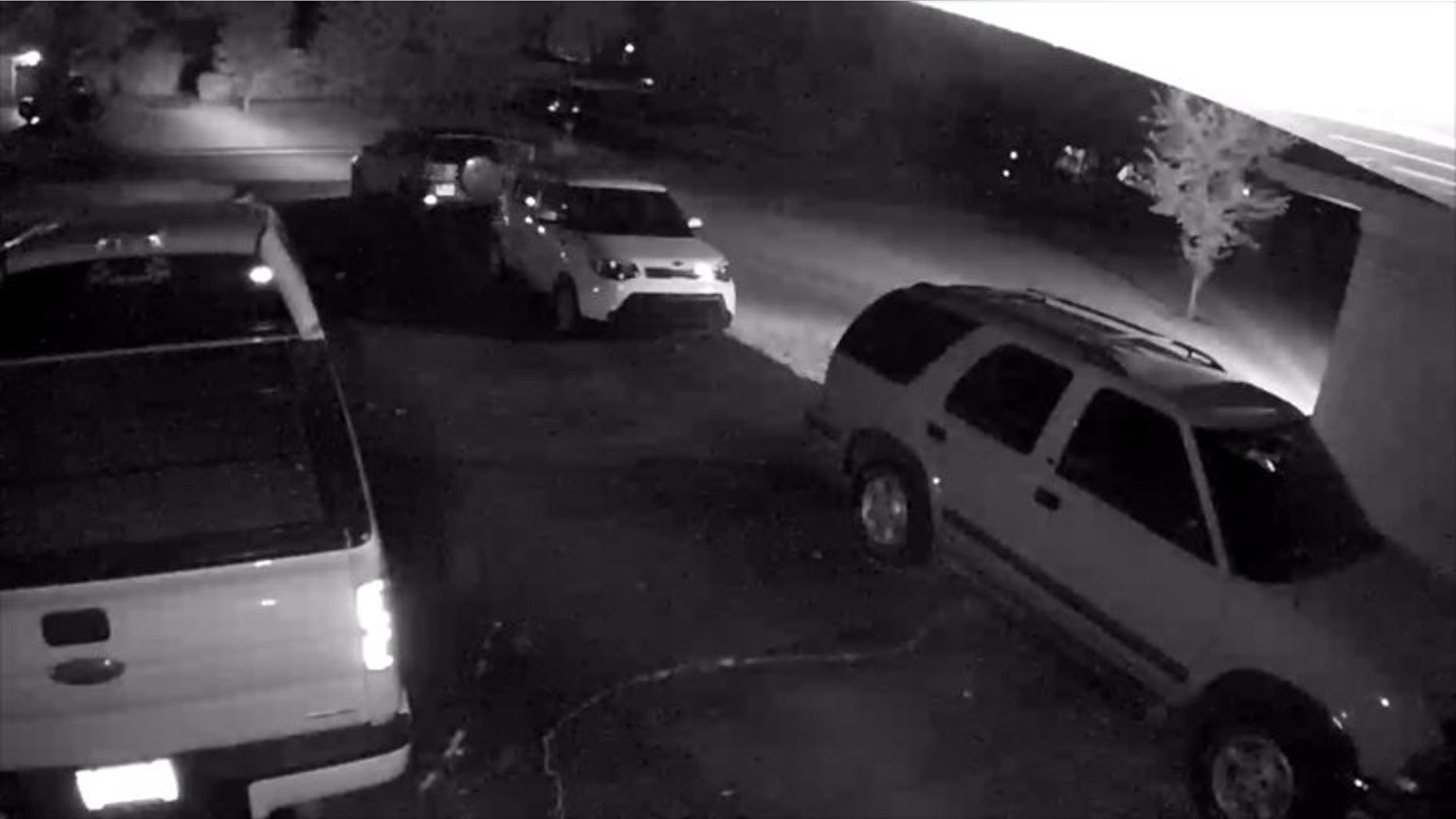Security camera footage caught the thieves driving off in the Greens' Toyota Rav-4.