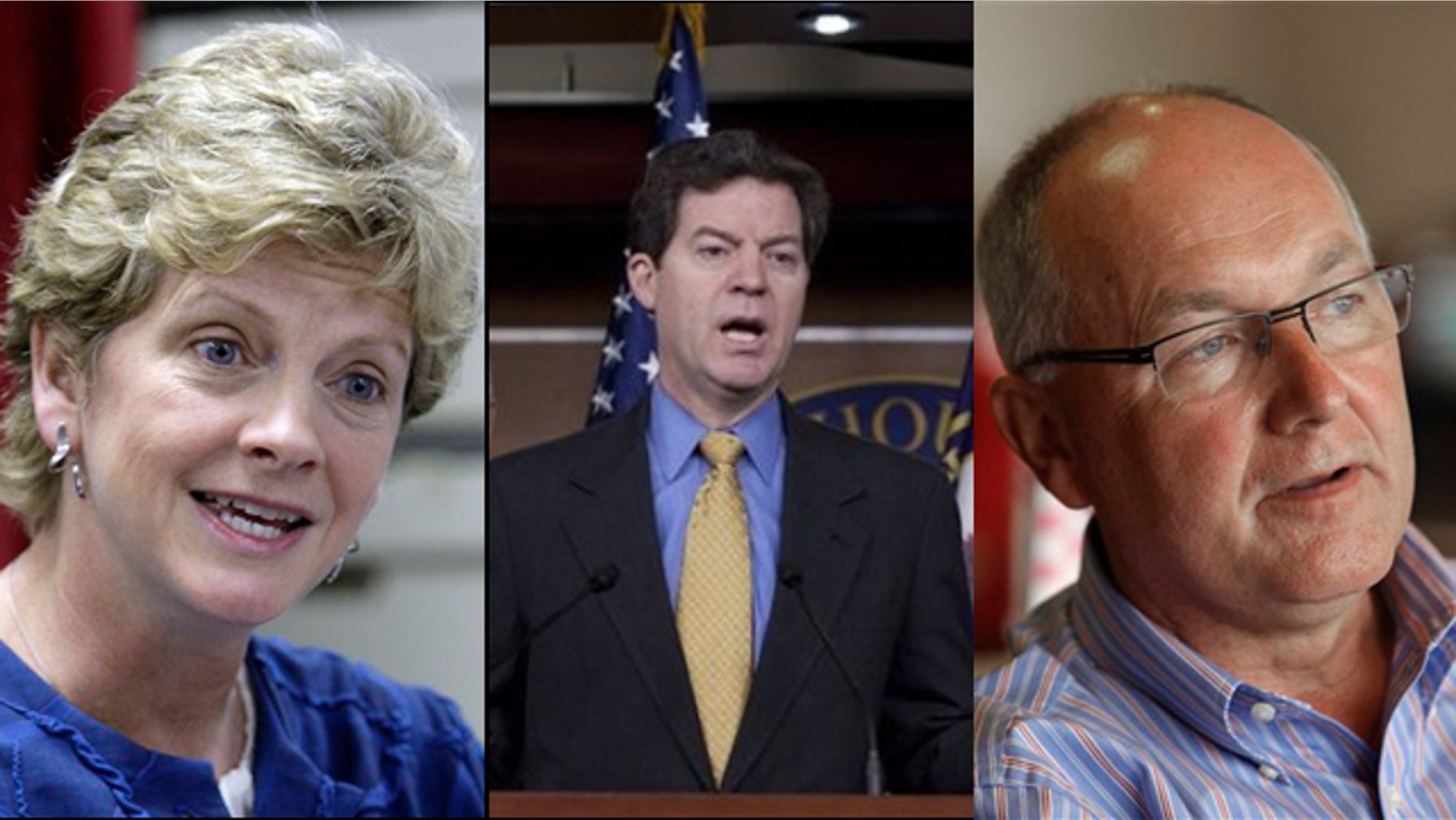 Robin Carnahan, (l), Sen. Sam Brownback, (c), and Rep. Pete Hoekstra, (r), were among the winners and candidates in Tuesday's primaries. (AP)