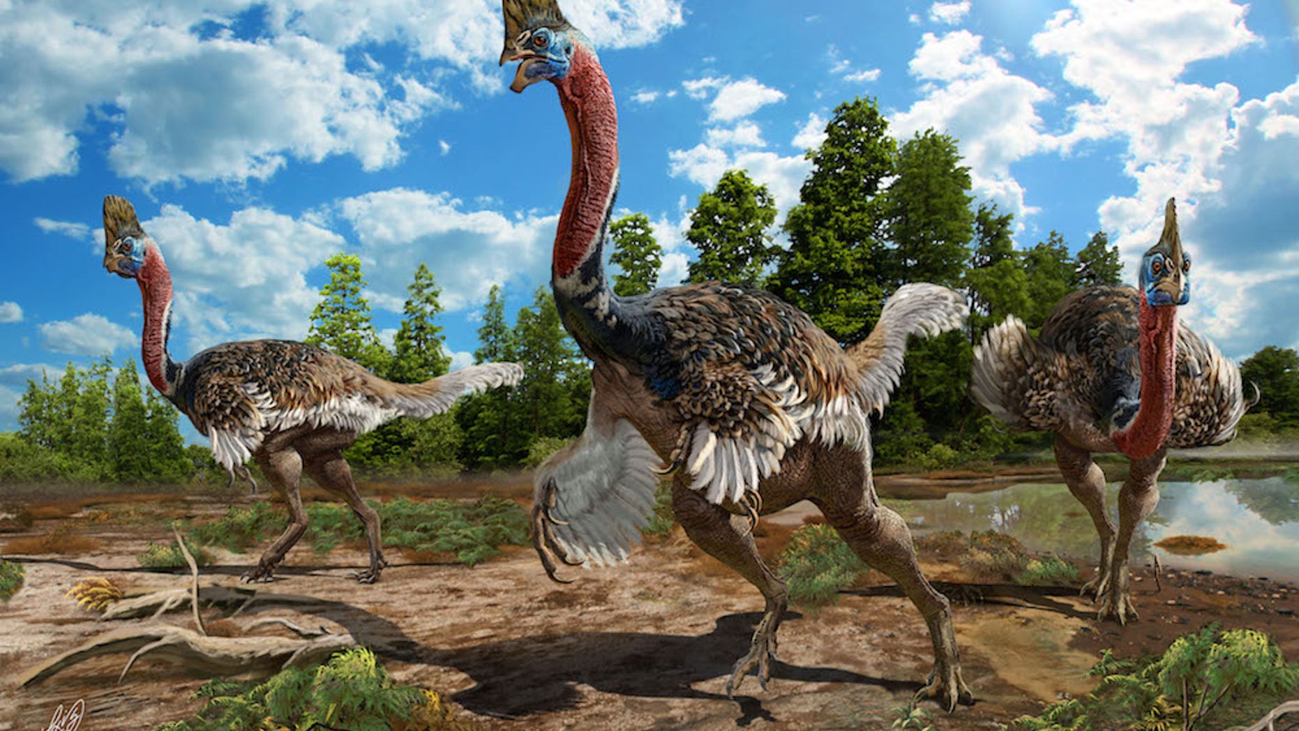 The newly identified oviraptorid dinosaur <i>Corythoraptor jacobsi</i> has a cassowary-like head crest, known as a casque.