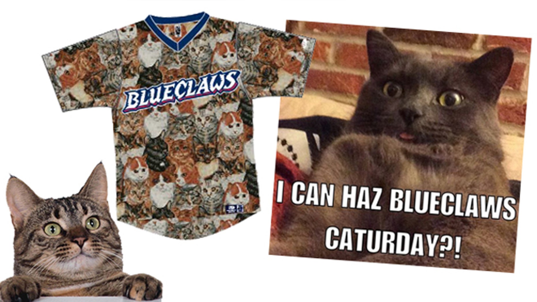 Saturday at FirstEnergy Park in Lakewood, N.J. is CATurday, expected to be a Purrfect night for cats at the ballpark. (Lakewood BlueClaws)