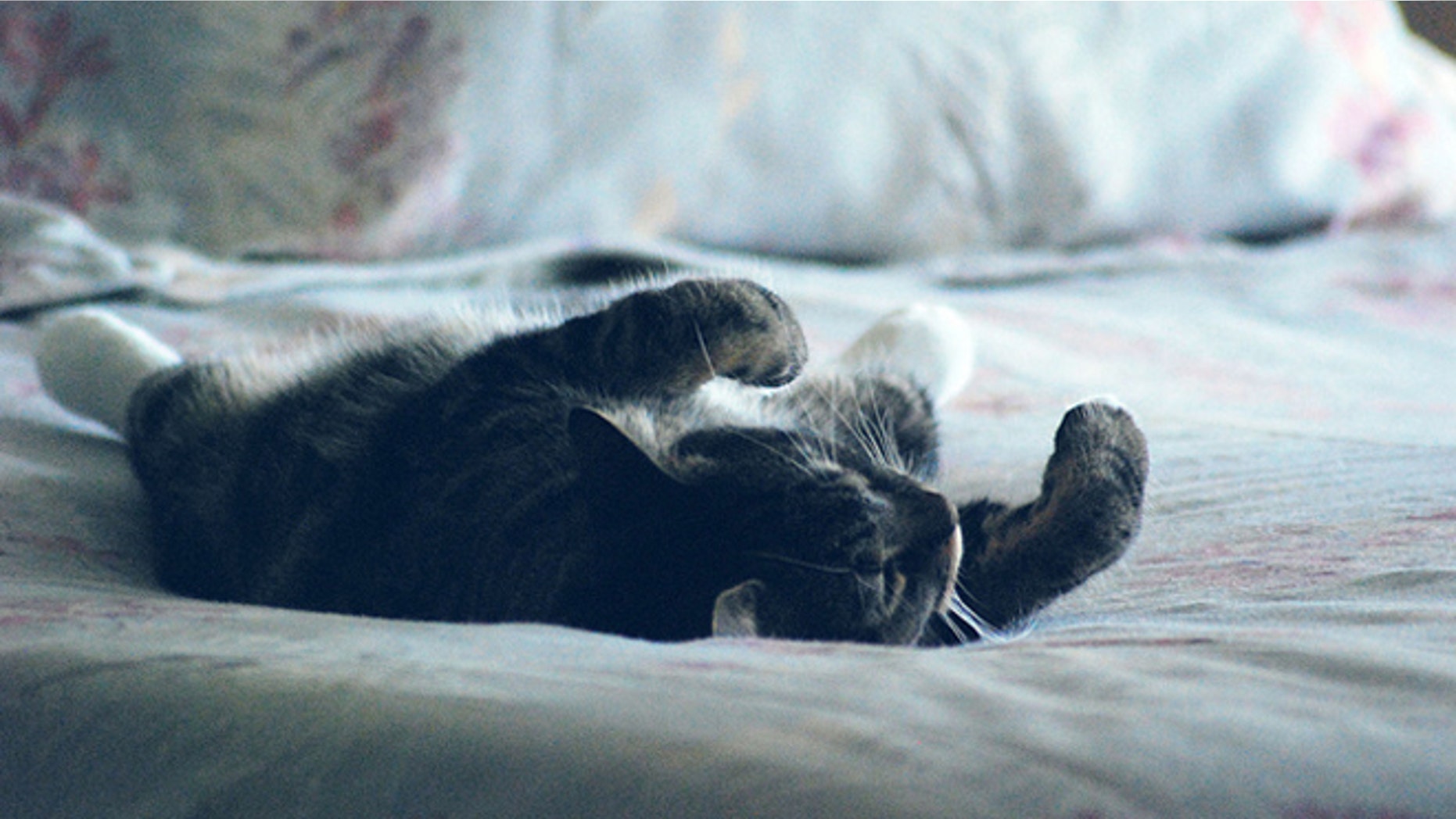 Just as important to your career as pushing ahead toward your goals is knowing when to relax, and how to rest and recharge…