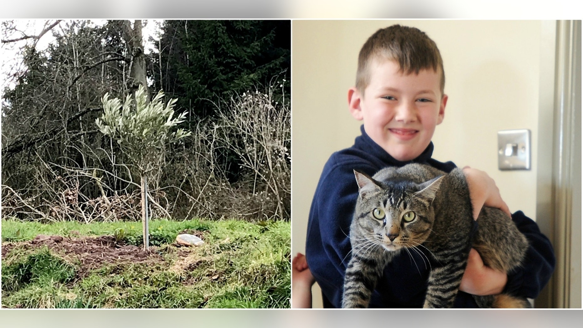 The Robinson family welcomes back a cat 12 days after it disappeared during Storm Emma in England.