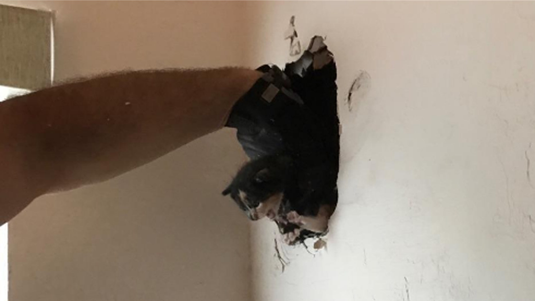 Firefighters from Fort Lauderdale Fire Rescue freed a kitten from a wall in a Florida home.