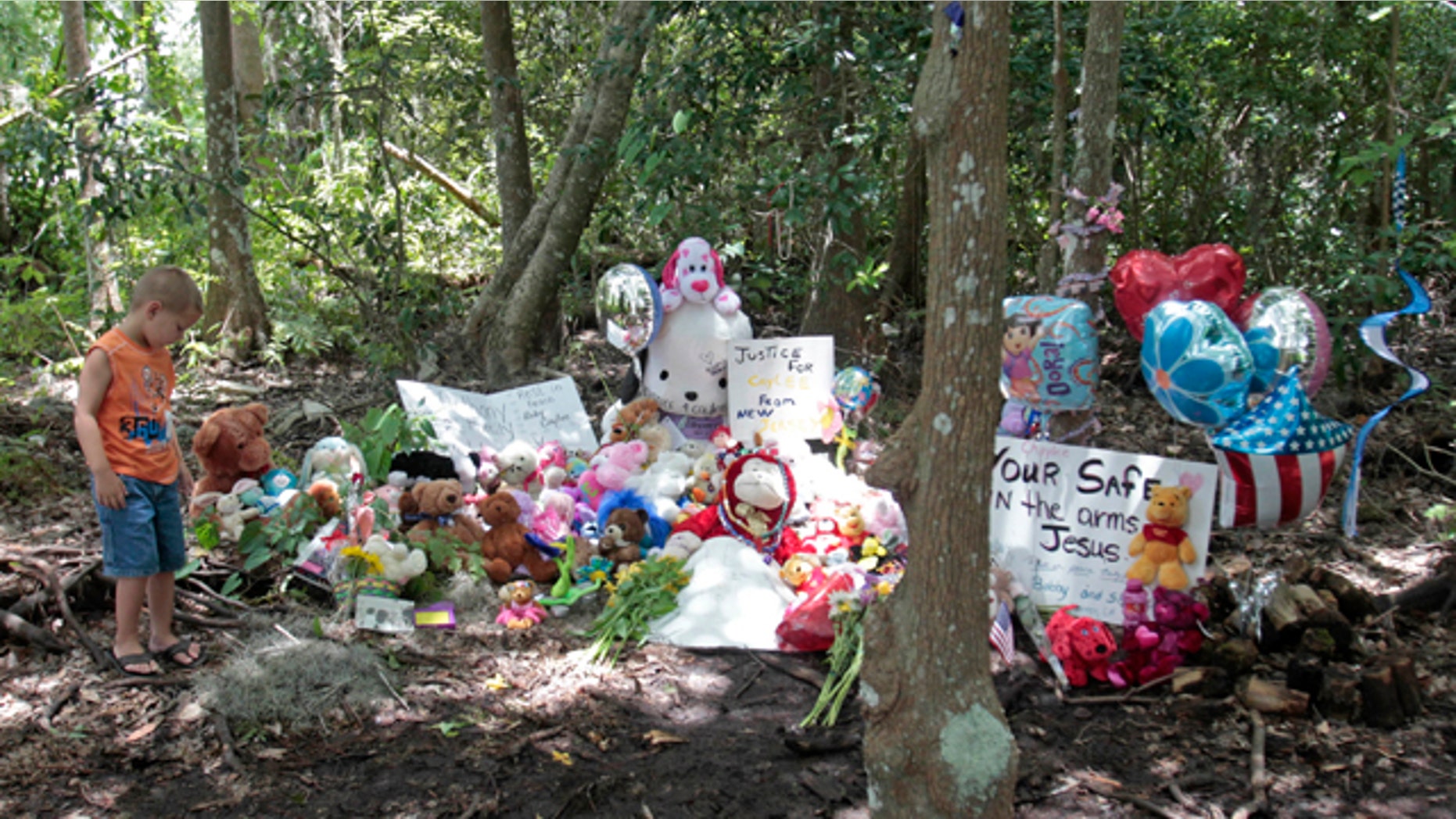 July5: Mark Likins, of Thomasville, Ga., visits the memorial of Caylee Anthony before Casey Anthony was found not guilty of first-degree murder, aggravated manslaughter and aggravated child abuse in Orlando, Fla.
