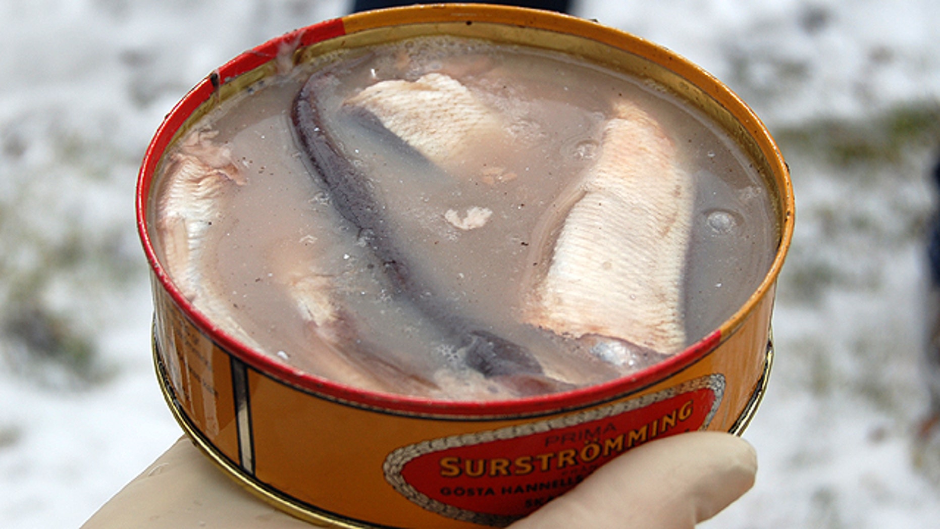 Ikan Surströmming