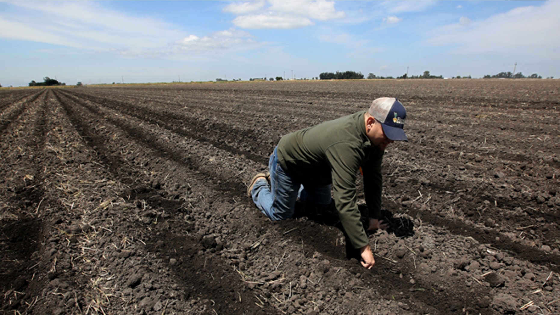 In this photo taken Monday, May 18, 2015, Gino Celli checks the moisture of land just planted with corn seed on land he farms near Stockton, Calif. Celli farms 1,500 acres of land and manages another 7,000 acres, has senior water rights and draws his irrigation water from the Sacramento-San Joaquin River Delta. Farmers in the Sacramento-San Joaquin River Delta who have California's oldest water rights are proposing to voluntarily cut their use by 25 percent to avoid the possibility of even harsher restrictions by the state later this summer as the record drought continues. (AP Photo/Rich Pedroncelli)