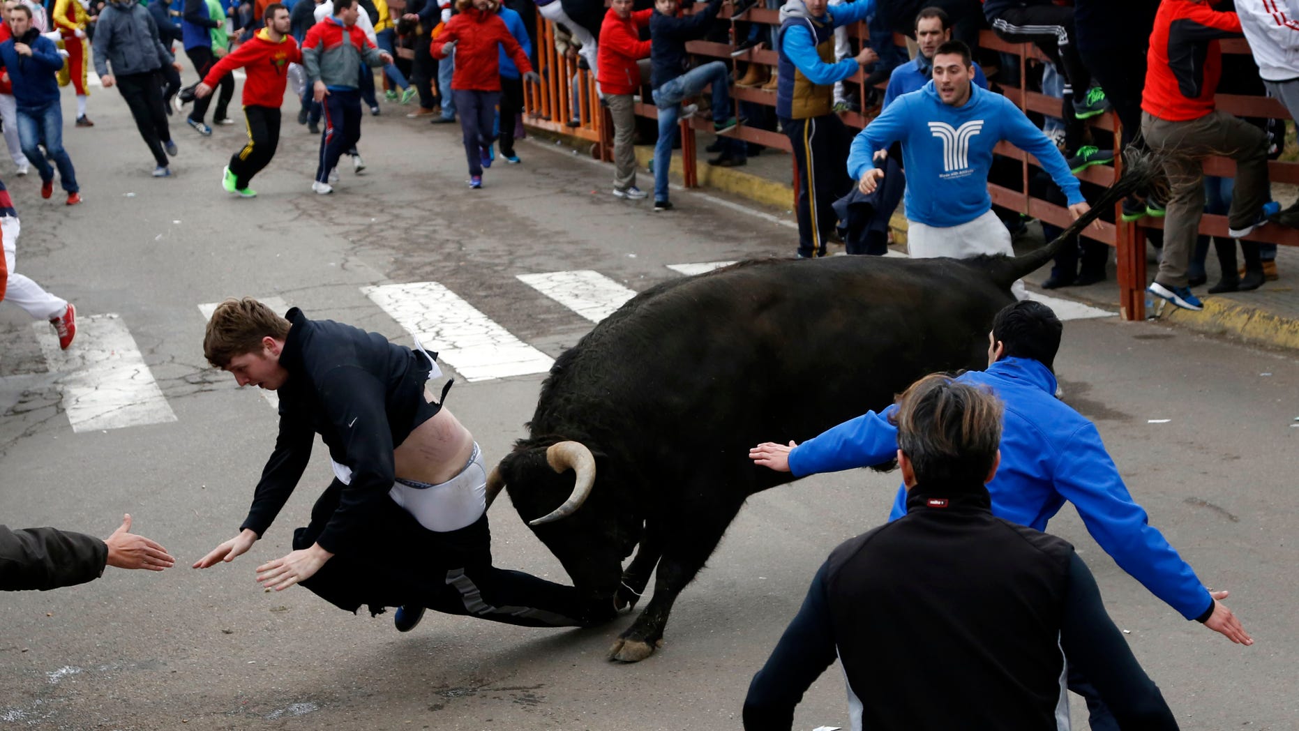 Benjamin Miller, 20, from Georgia, is gored by a bull during the "Carnaval del Toro" in Ciudad Rodrigo, Spain, on Sunday, Feb. 15, 2015. An American youth is recovering in the intensive-care unit of a hospital in western Salamanca after being savagely gored during a bullfighting festival celebrating Carnival, officials said Sunday. Surgeon Enrique Crespo said he was called to operate on 20-year-old Benjamin Miller from Georgia, who had been gored and tossed by a large fighting bull on Saturday, the first day of nearby Ciudad Rodrigo's "Carnaval del Toro." (AP Photo/Jose Vicente)
