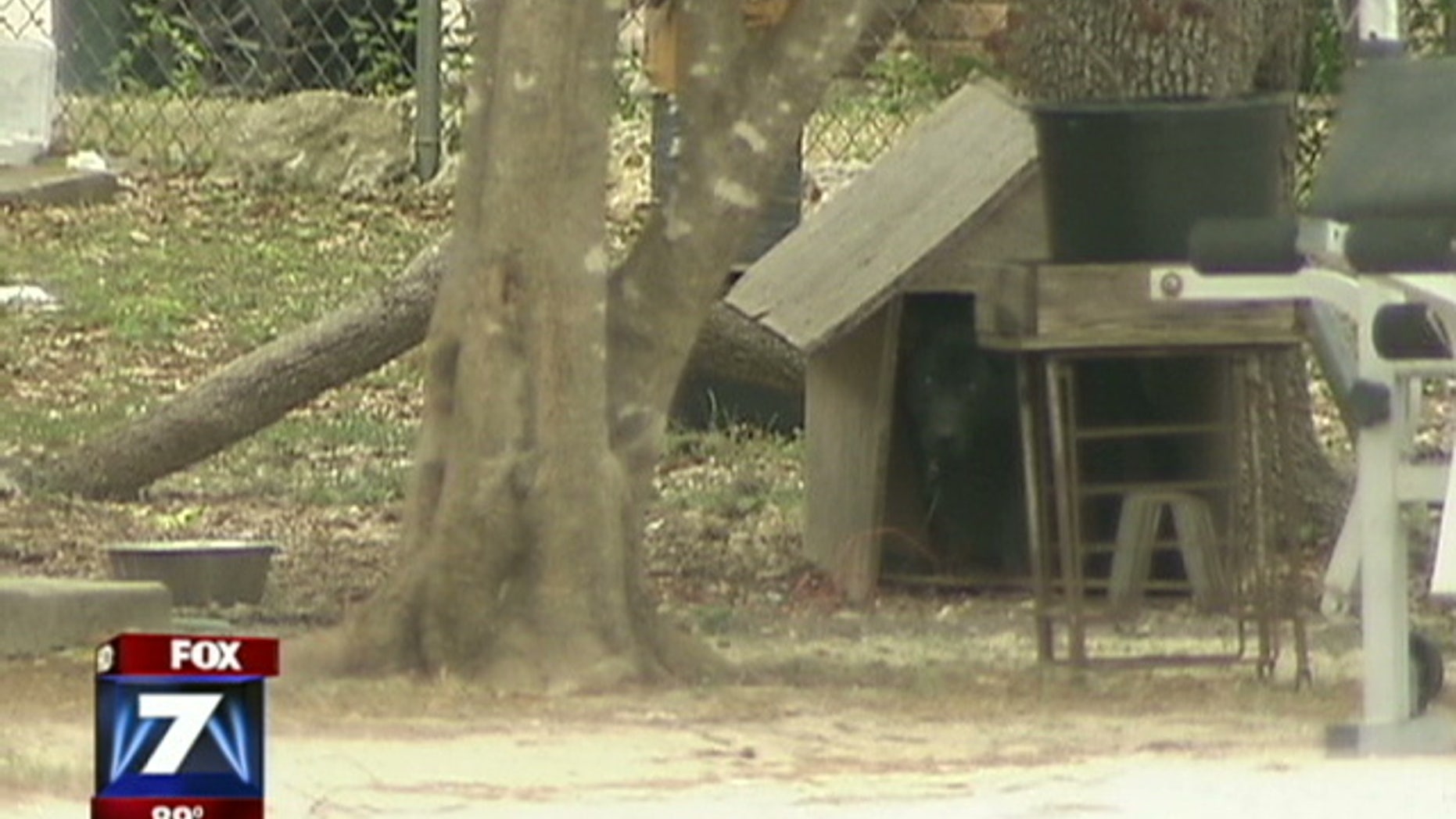 One woman called on city officials to ban chaining dogs outside homes in what she labeled abuse.