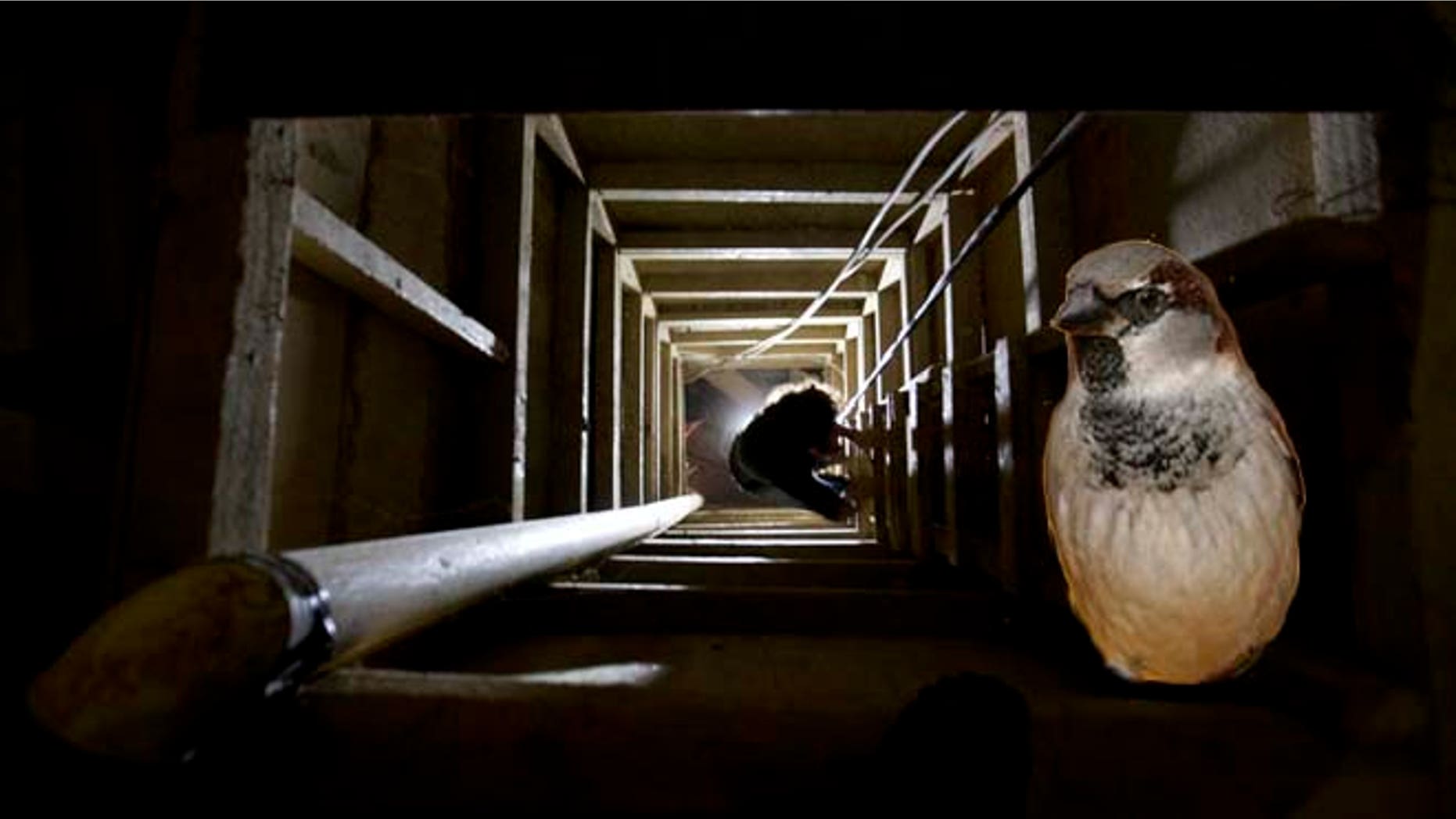 A journalist climbs a ladder to get out of the tunnel that according to authorities, drug lord Joaquin "El Chapo" Guzman used to escape from the Altiplano maximum security prison in Almoloya, west of Mexico City, Tuesday, July 14, 2015. A widespread manhunt that included highway checkpoints, stepped up border security and closure of an international airport failed to turn up any trace of Guzman after he escaped through an underground tunnel in his prison cell on Saturday night. (AP Photo/Eduardo Verdugo)