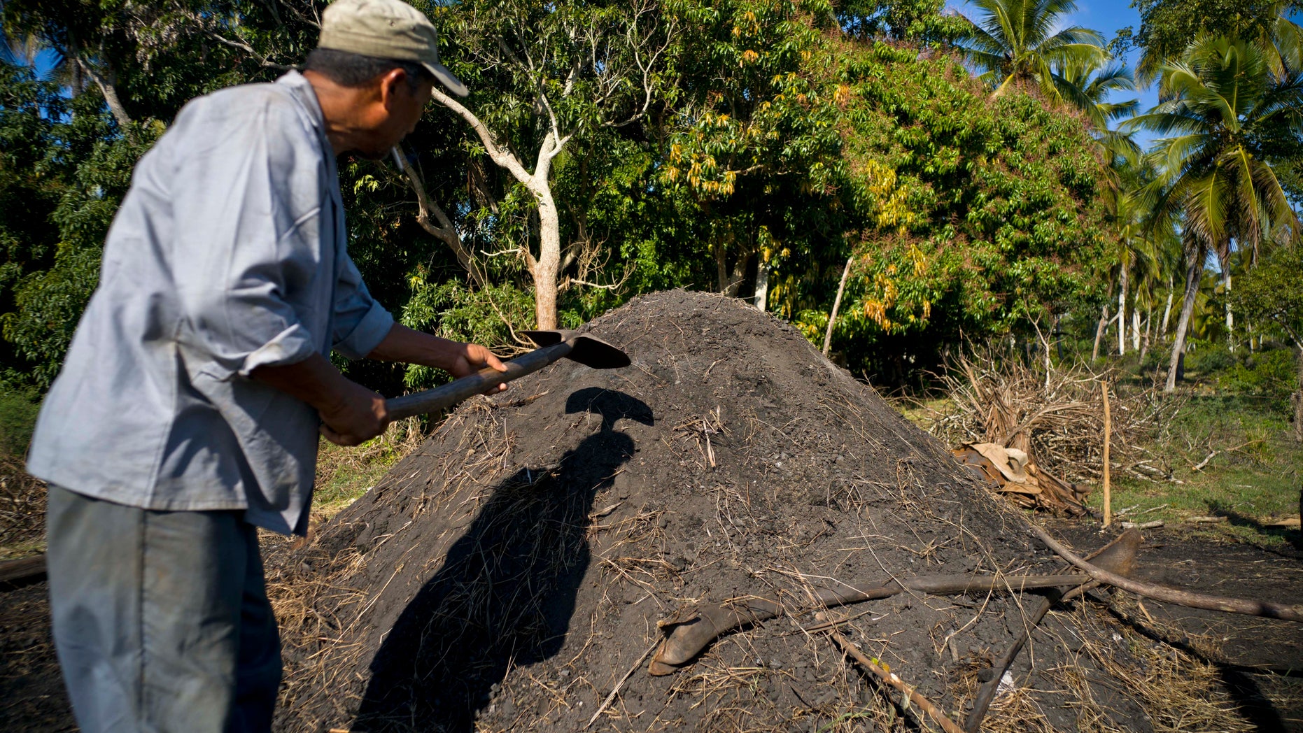 A man prepares artisanal charcoal at a farm on the outskirts of Havana, Cuba, Thursday, Jan. 5, 2017.
