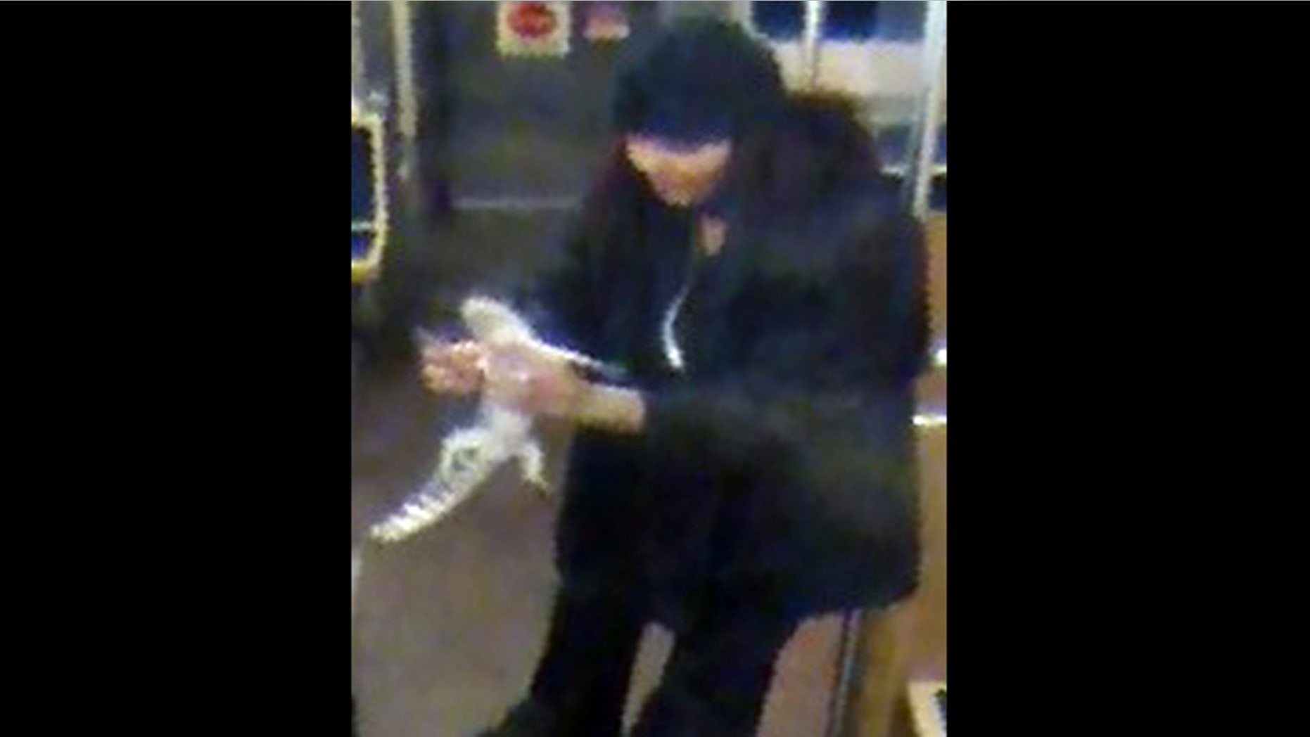This security camera image provided by the Chicago Transit Authority on Wednesday, Nov. 13, 2013 shows a woman with a two-foot-long alligator aboard a CTA Blue Line train early in the morning of Nov. 1, 2013 in Chicago. Authorities are searching for the woman, who they believe discarded the reptile at O'Hare International Airport. The two-foot-long alligator was captured hours later after a maintenance worker found it under an escalator in a baggage claim area.