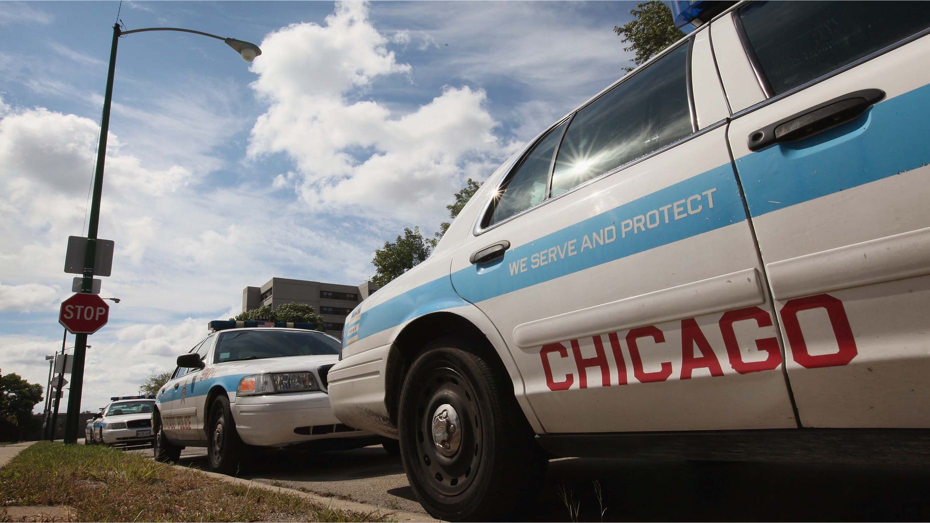 CHICAGO, IL - SEPTEMBER 08: Ford Crown Victorias, being used as Chicago police cars, sit outside a police station September 8, 2011 in Chicago, Illinois. Last month Ford saw sales of the Crown Victoria climb 140 percent compared with August 2010 as police departments began to stockpile the vehicle before Ford ended production at the St. Thomas, Ontario assembly line on August 31. (Photo by Scott Olson/Getty Images)