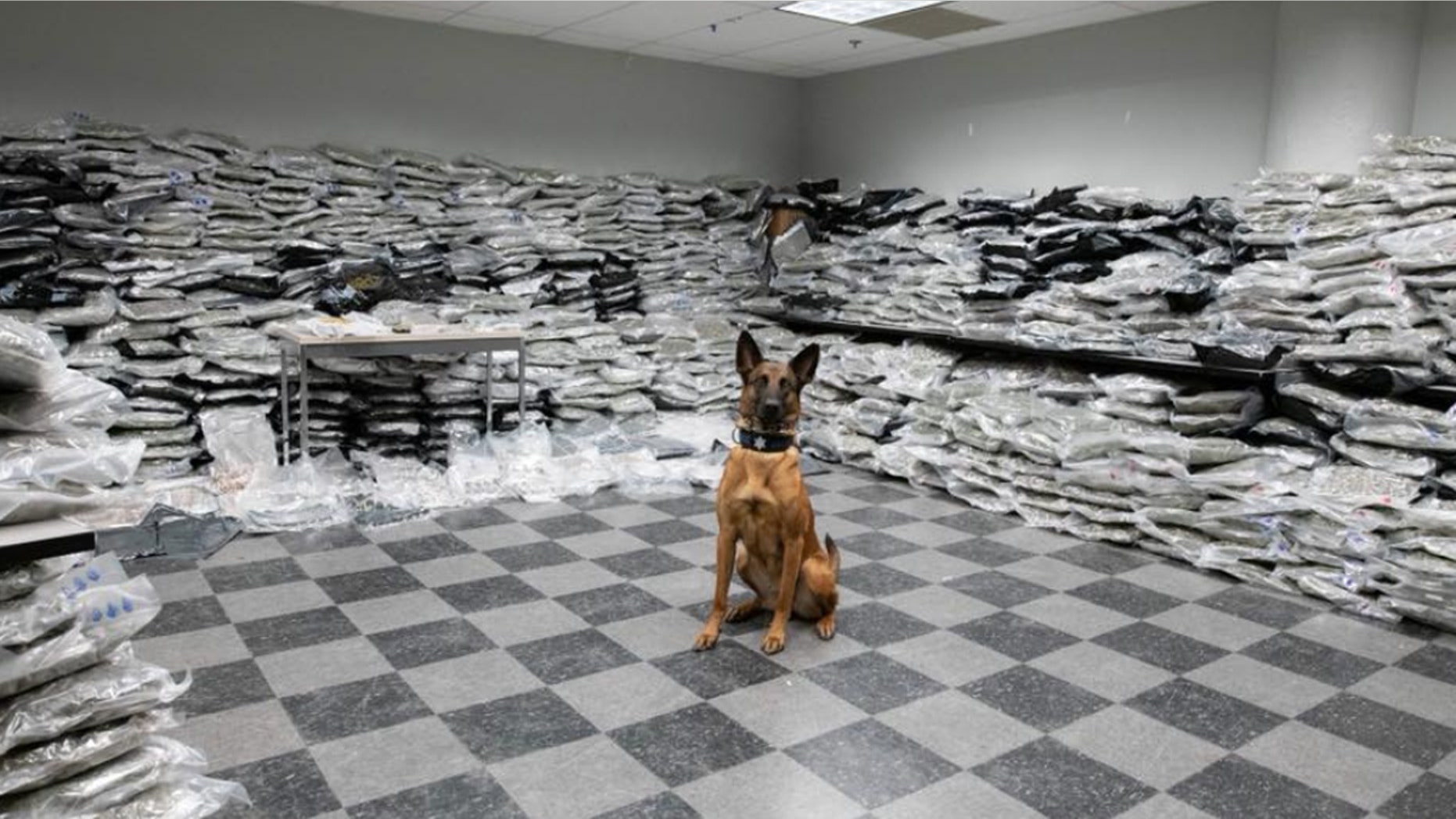 Chicago police found more than 1,500 pounds of marijuana during a traffic stop on Saturday.