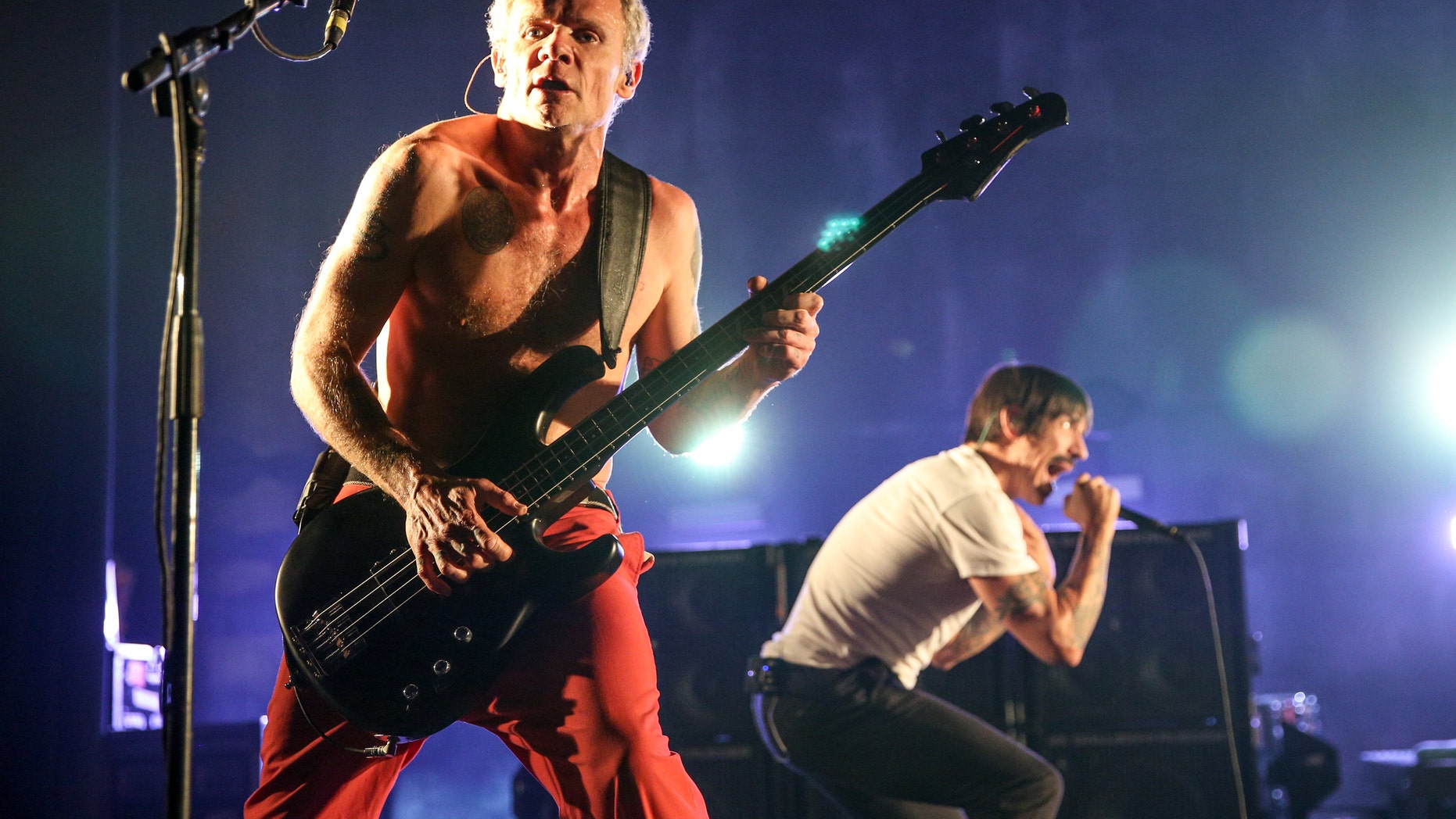 FILE - In this Feb. 5, 2016, file photo, Flea, left, and Anthony Kiedis of the Red Hot Chili Peppers perform at The Theatre at Ace Hotel in Los Angeles. Flea wrote on Instagram July 10, 2016, that his band was mistaken for Metallica at an airport in Belarus and was forced to autograph Metallica items. (Photo by Rich Fury/Invision/AP, File)