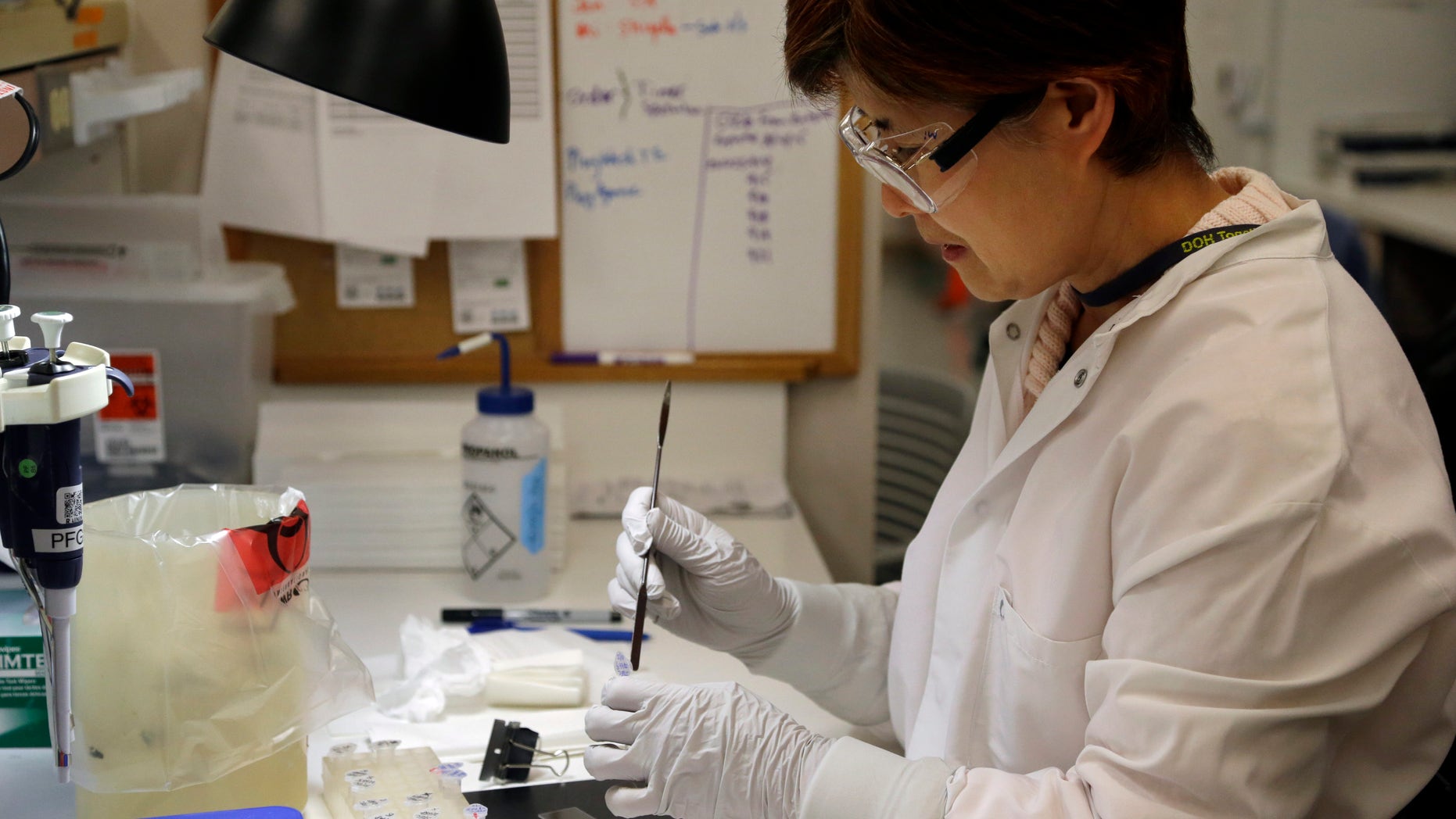 Microbiologist Mi Kang works to identify a strain of E. coli from a specimen in a lab at the Washington State Dept. of Health Tuesday, Nov. 3, 2015, in Shoreline, Wash. (AP Photo/Elaine Thompson)