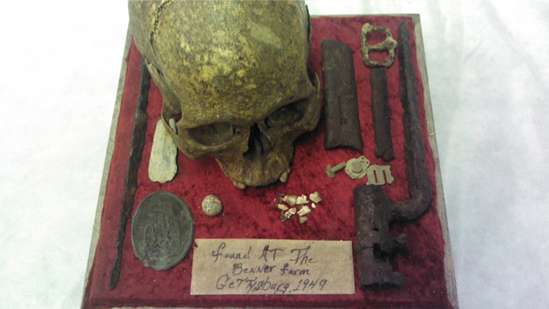 Estate Auction Company had hoped the auction of the skull would sell for between $50,000 and $250,000.