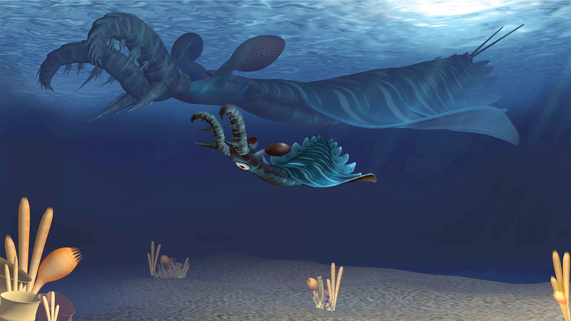 An artist's rendering shows a baby (foreground) and adult Lyrarapax unguispinus hunting the Cambrian seas like the creepy predators they were. (Credit: Science China Press)