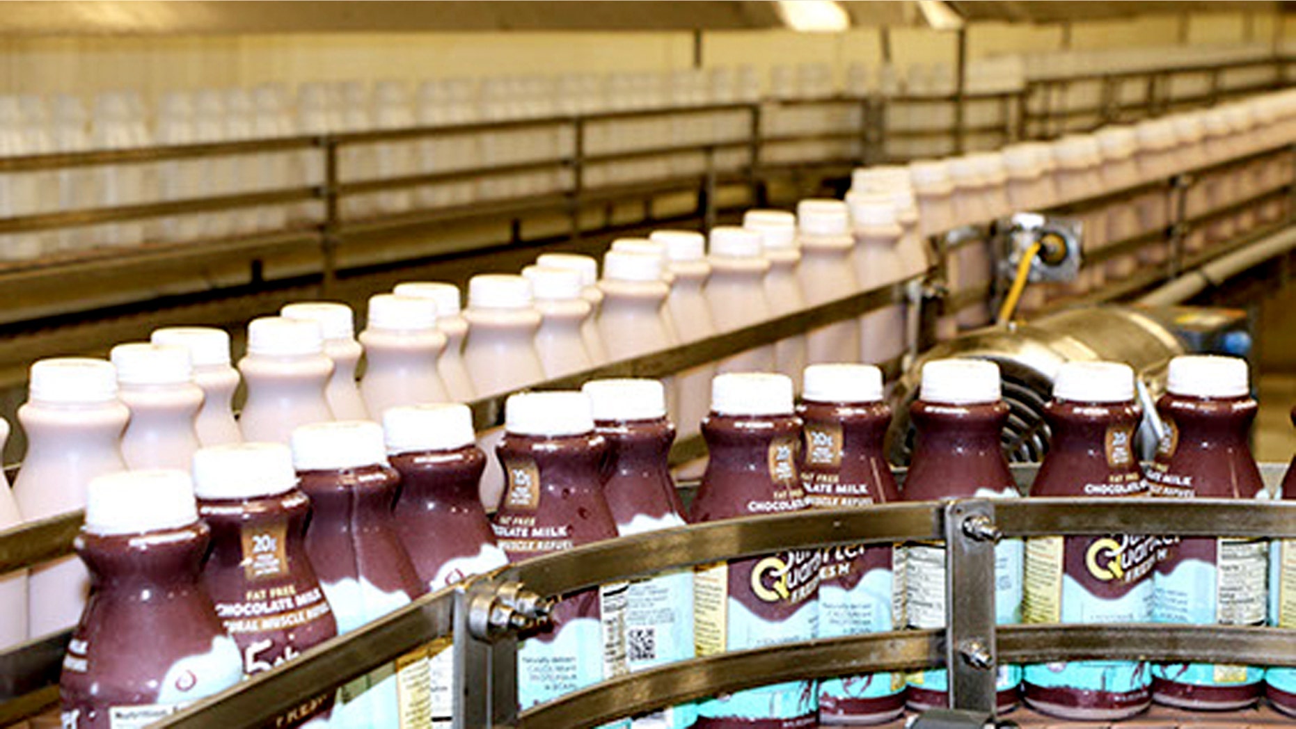 Fifth Quarter Fresh on the production line.