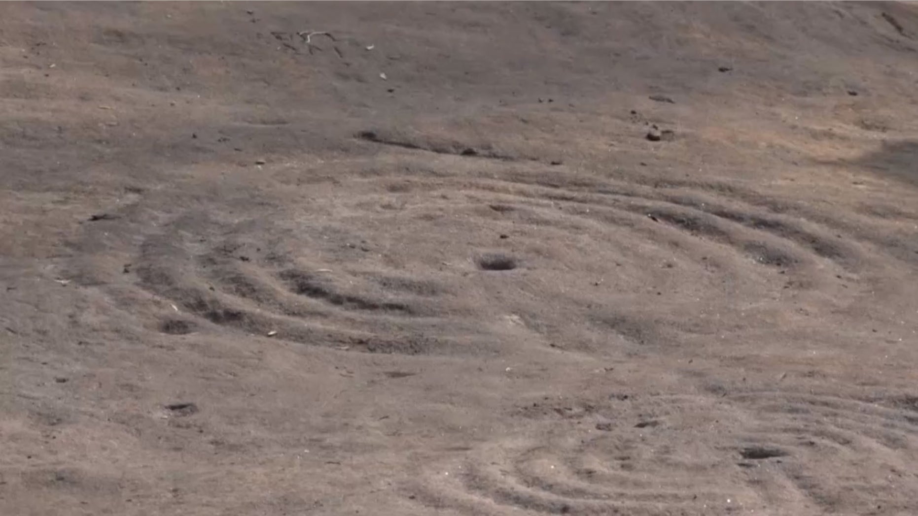 The Cochno Stone, which dates back to around 3000 B.C., contains a type of artwork called "cup and ring marks."