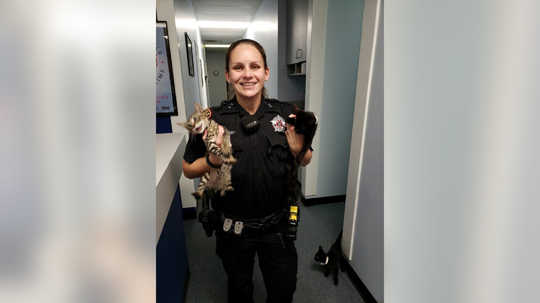 A Texas deputy found several kittens in a gym bag last week, according to the Harris County Constable's Office Precinct 5.