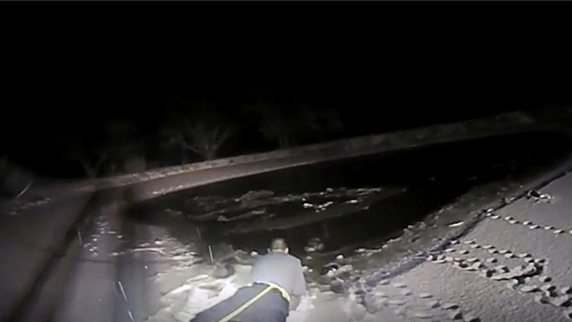 A police officer rescued a dog that fell through the ice.
