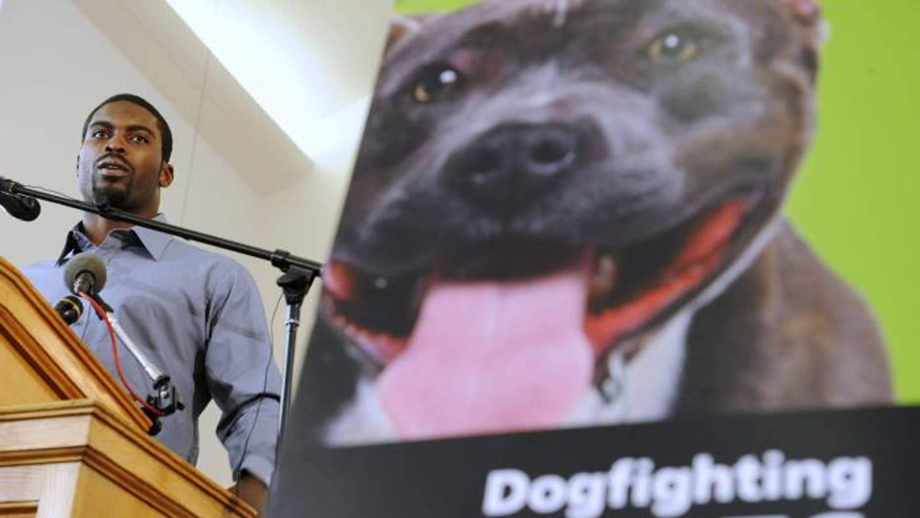 POLL: Should Michael Vick Own A Dog? | Fox News