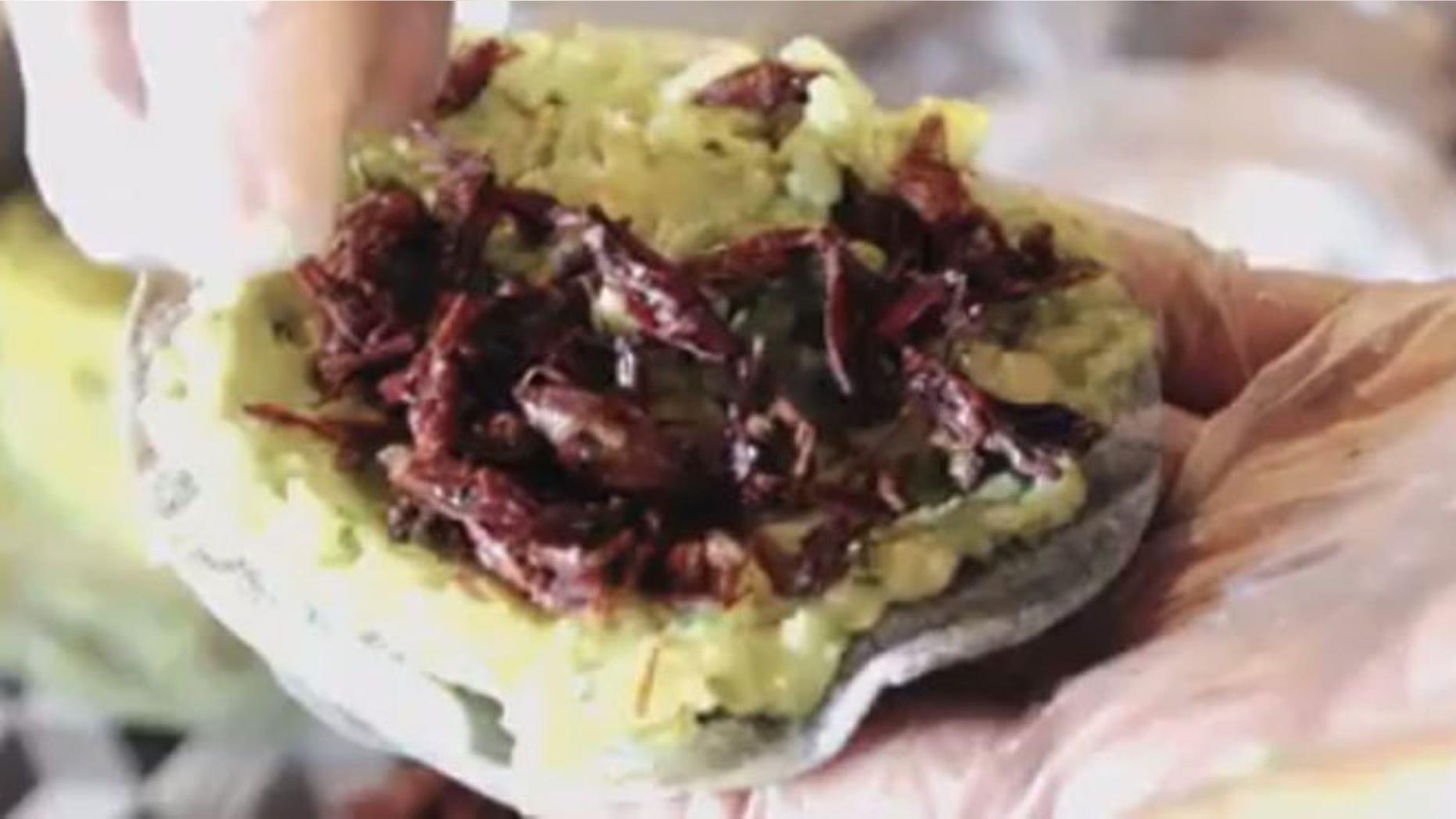 New York's Antojeria la Popular started serving a tacos and burgers made with crickets-that are surprisingly pretty popular.