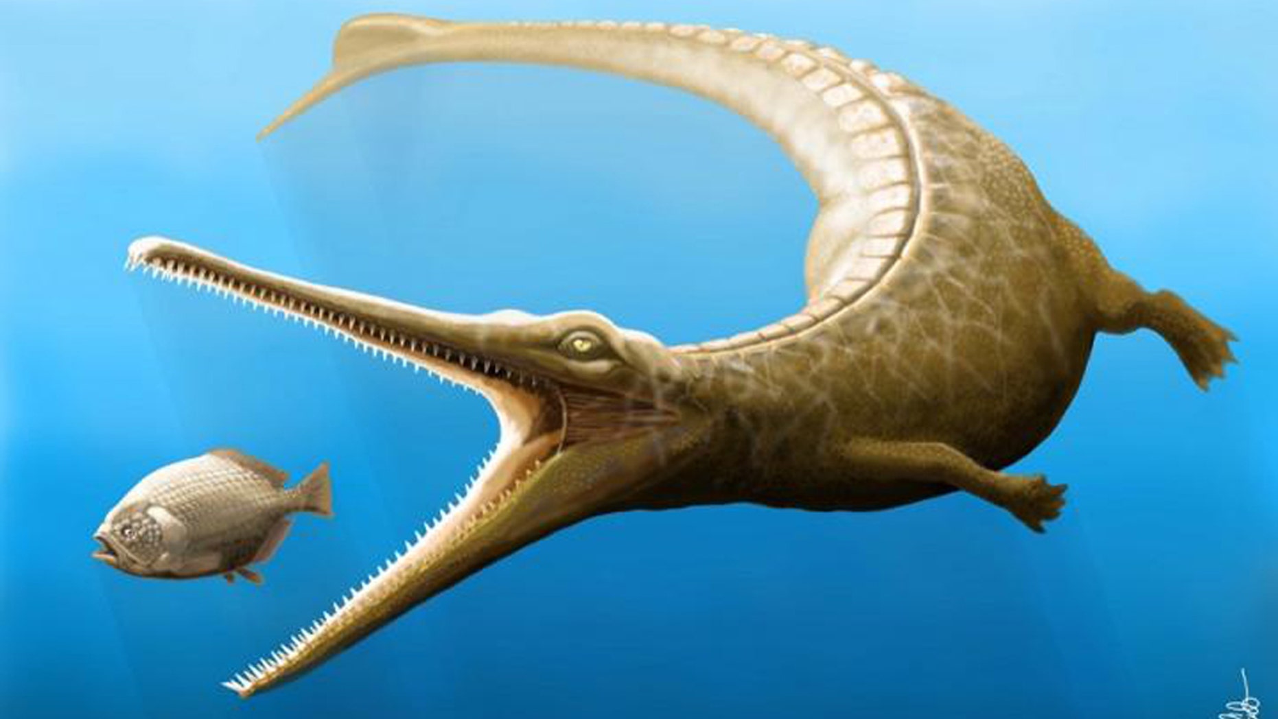 This is an artist's impression of Magyarosuchus fitosi. (Credit: Marton Szabo)