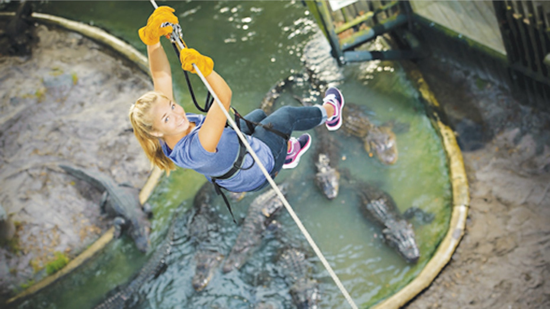 Soar over gators and crocs on Crocodile Crossing.