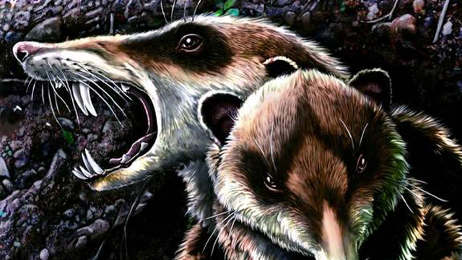 An illustration of the saber-toothed squirrel-like mammal known as Cronopio dentiacutus reveals the creature's striking resemblance to Scrat in the film "Ice Age."