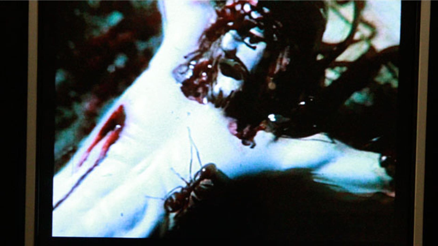 A crucifix in the video “A Fire in My Belly,” part of the ‘Hide/Seek’ exhibit at the Smithsonian’s National Portrait Gallery. The image shows Christ on the cross with ants crawling over his body and face. (CNSNews.com/Penny Starr)