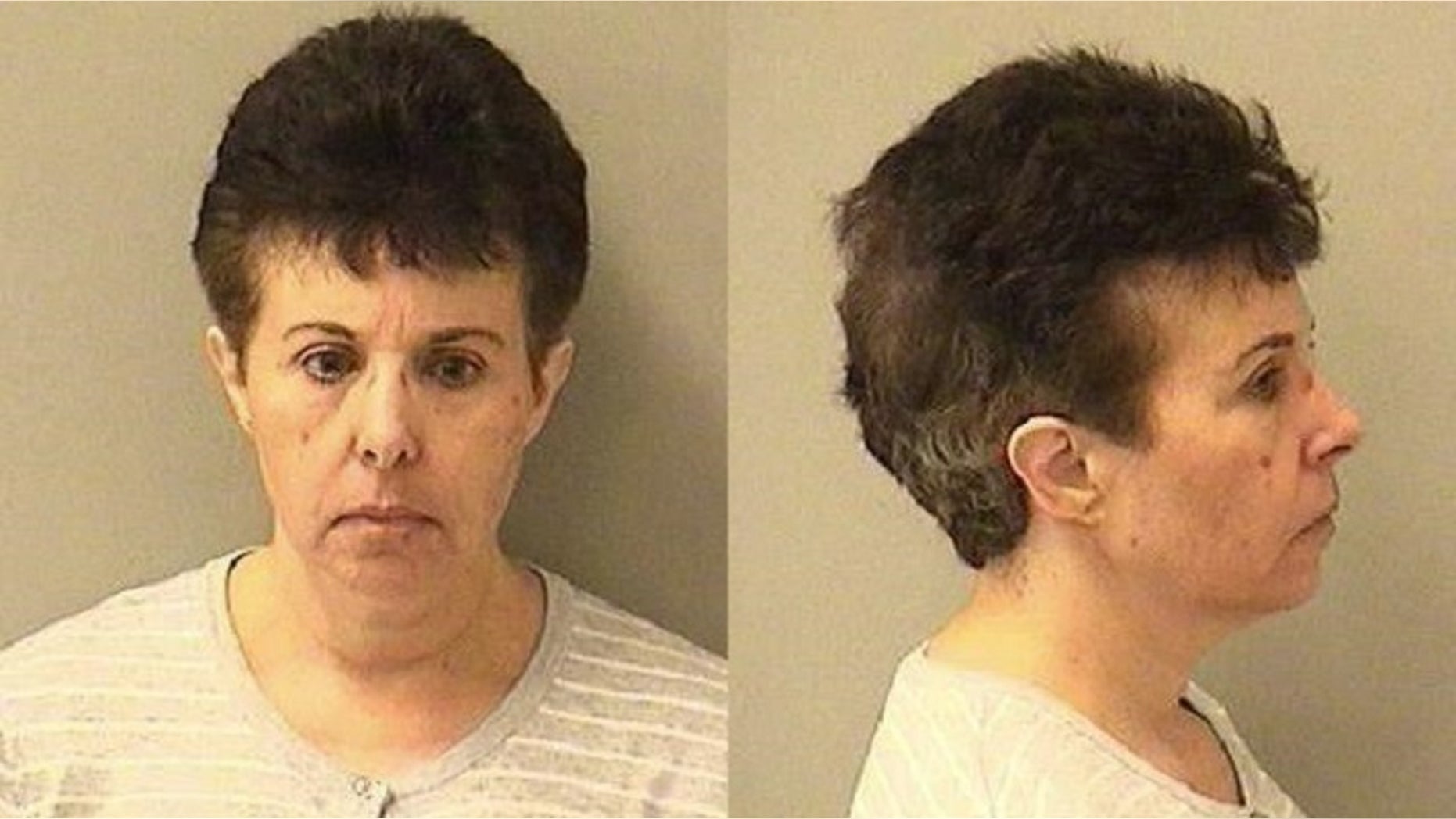 Christy Lenhardt, a fomer mental health social worker, faces 14 felony counts after two lawsuits accuse her of sexual relations with former patients.