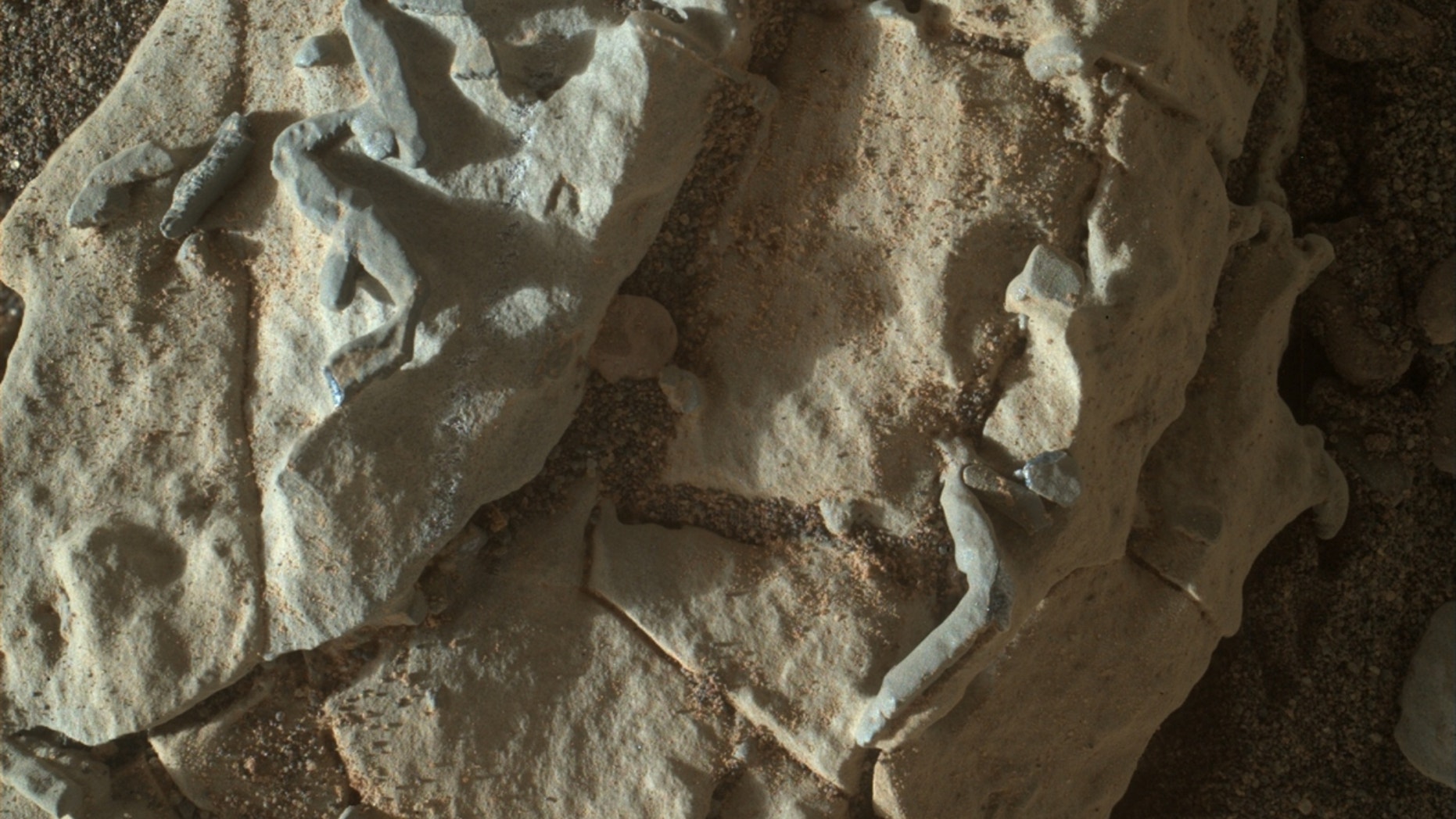 NASA's Mars rover Curiosity captured this image on Jan. 2, 2018, using its Mars Hand Lens Imager. The tubular structures were likely created by crystalline growth, mission team members said.