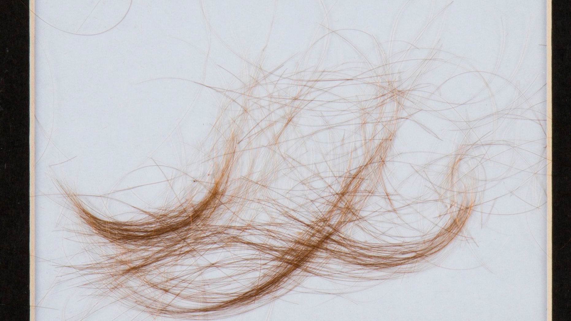 A lock of hair that experts say came from Lt. Col. George Armstrong Custer was sold at auction Saturday for $12,500.