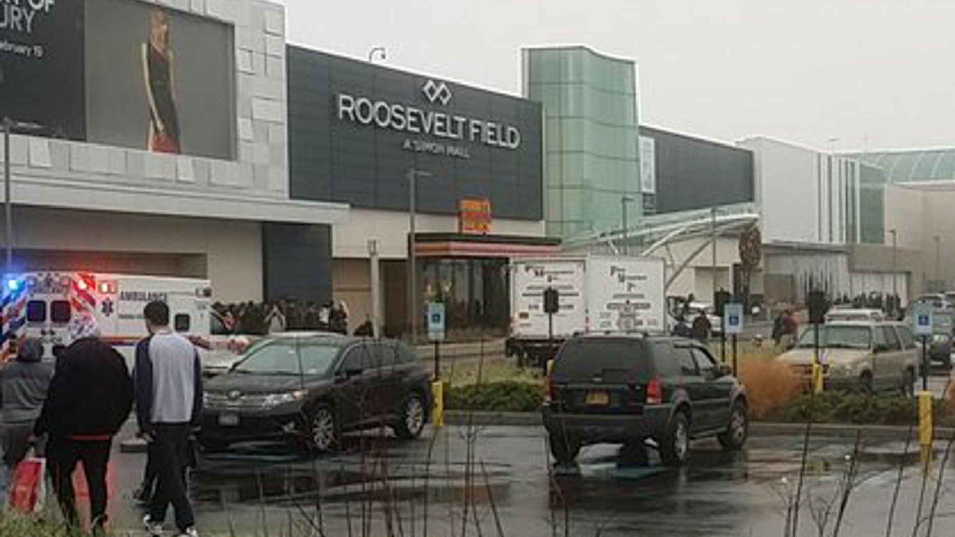 The scene outside Roosevelt Field Mall on Tuesday afternoon.
